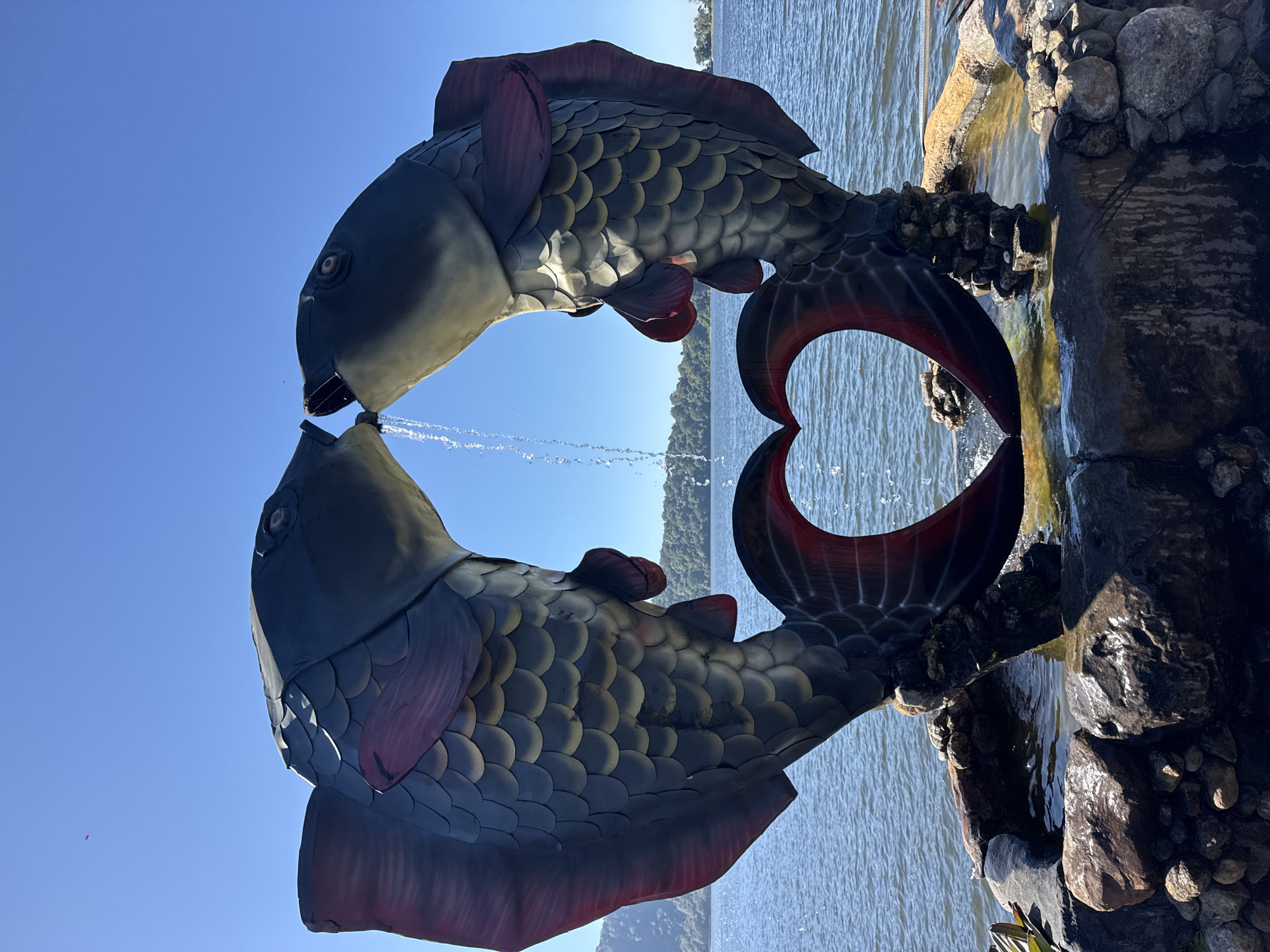 A statue of two fish kissing, with water spraying between them, is positioned in front of a body of water and a hill. The fish are dark gray with maroon fins and scales. Their tails form a heart shape. The statue is surrounded by rocks and a small pool of water. The sky is clear and blue. The statue is located in the city of Baturiti, Indonesia, likely a tourist attraction.
