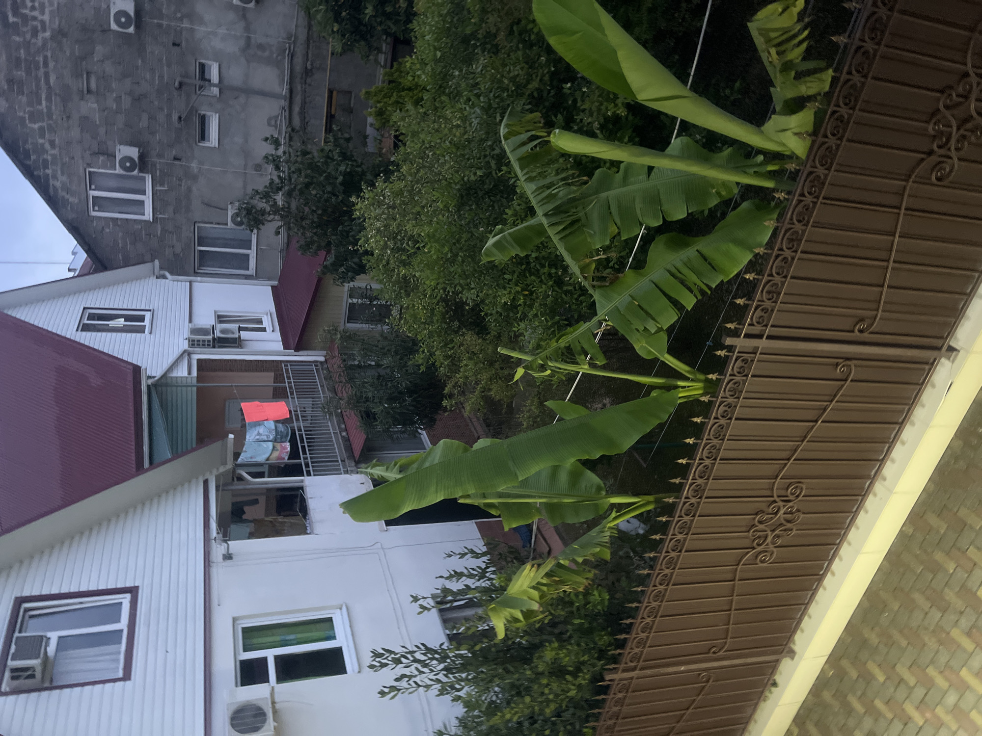 This image shows a view of several buildings and vegetation from behind a brown metal fence in what appears to be a residential area. In the foreground, a brown metal fence with decorative scrollwork runs horizontally across the frame. Beyond the fence, there are several large banana plants with prominent green leaves. In the background, there are multiple buildings. On the left, a white building with a red roof is visible, featuring windows and an air conditioning unit. Adjacent to it is a darker, grey brick building with multiple windows and air conditioning units. The sky is overcast, suggesting it may be evening or a cloudy day. The overall scene depicts a backyard or courtyard area with a mix of residential structures and tropical foliage.
