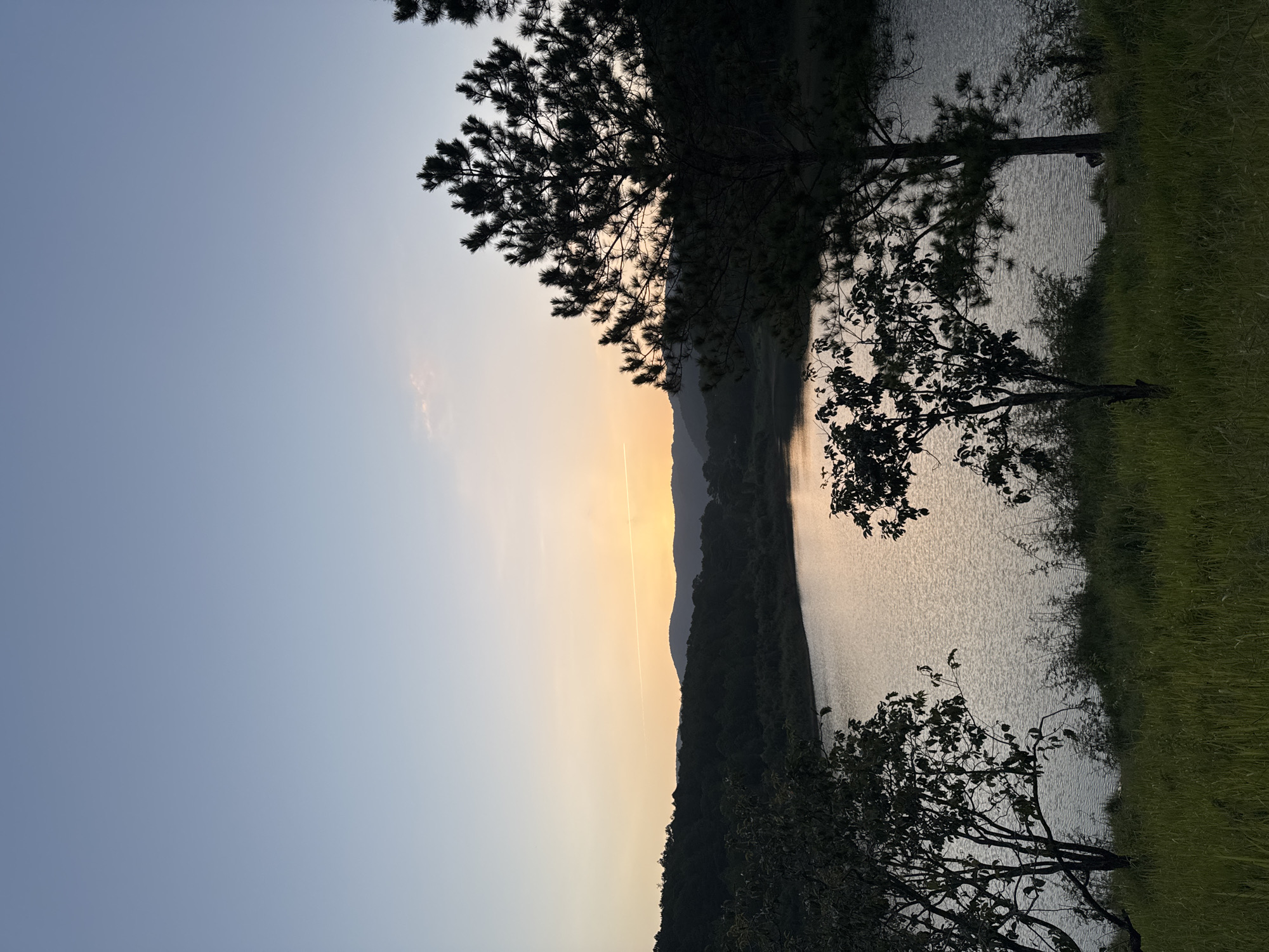 This image captures a serene lakeside scene at dusk in Da Lat, Vietnam. The sky transitions from a pale blue at the top to a soft orange and yellow hue near the horizon, indicating the setting sun. Silhouetted against this backdrop are rolling hills covered in dense, dark green forest. A calm lake reflects the muted colors of the sky and the surrounding foliage. In the foreground, tall grass and the dark silhouettes of trees, including a prominent pine tree on the right, frame the view. The overall impression is one of natural beauty and tranquility.