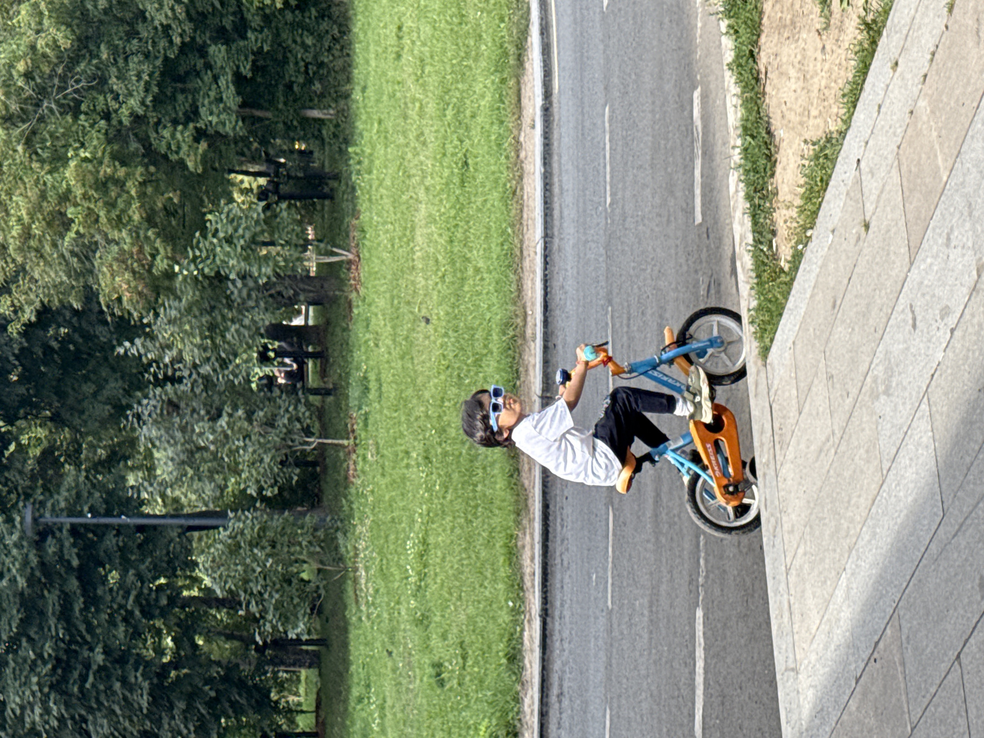 A young boy rides a blue and orange bicycle on a paved road. He is wearing a white t-shirt, black pants, and blue sunglasses. The boy is positioned on the right side of the frame. The road has white lane markings. Behind the road is a strip of green grass with some white flowers. Further behind the grass is a line of trees with dense green foliage. The background consists of more trees and some faint structures. The image appears to be taken on a sunny day.