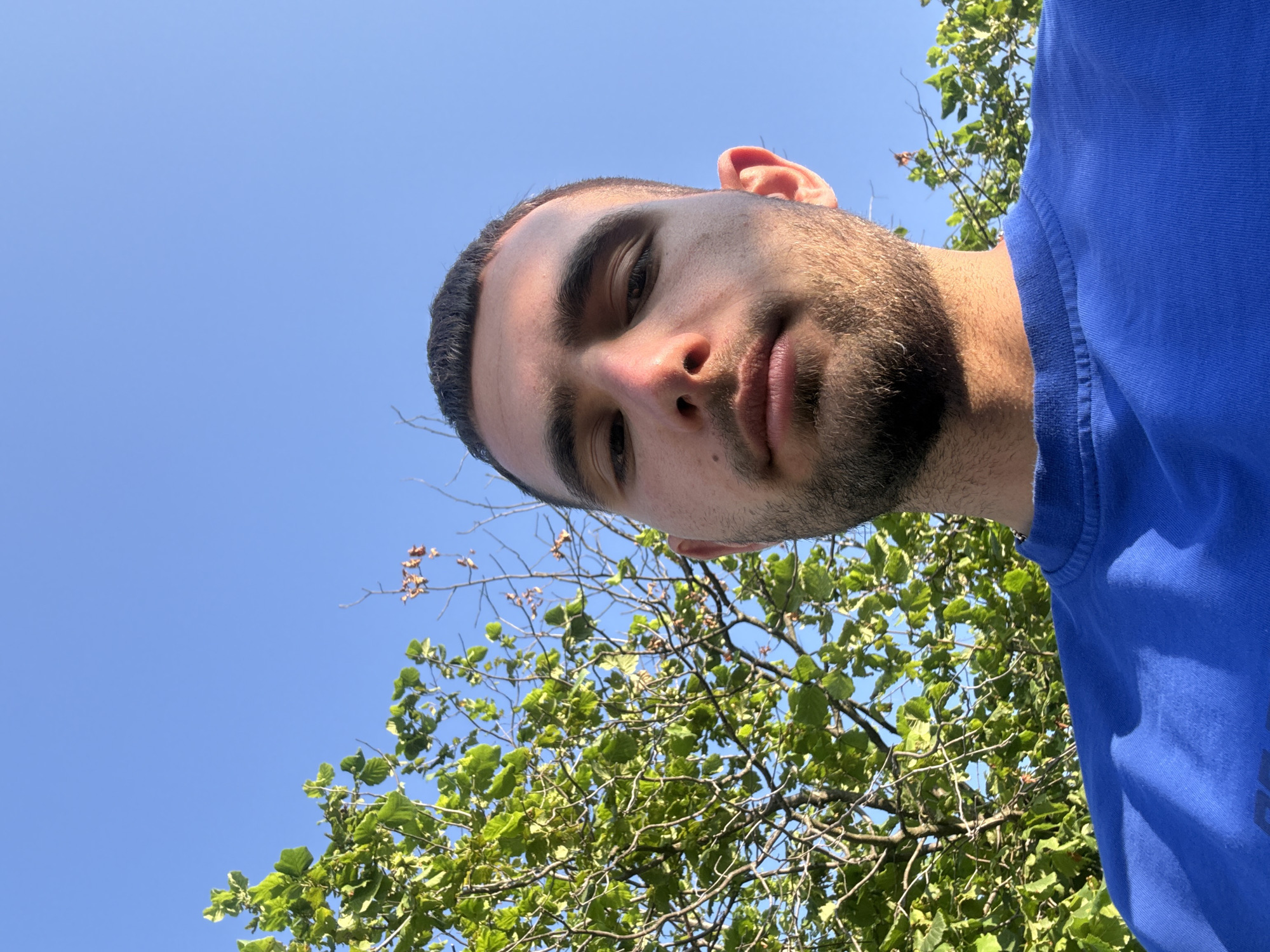 In Balinovtsi, Bulgaria, under a clear blue sky, a young man with short dark hair and stubble is captured in a low-angle selfie. He is wearing a blue t-shirt. To his left, vibrant green leaves of a tree are visible against the sky, with some dry branches and leaves intermingled. The sunlight casts a warm glow on the man's face.
