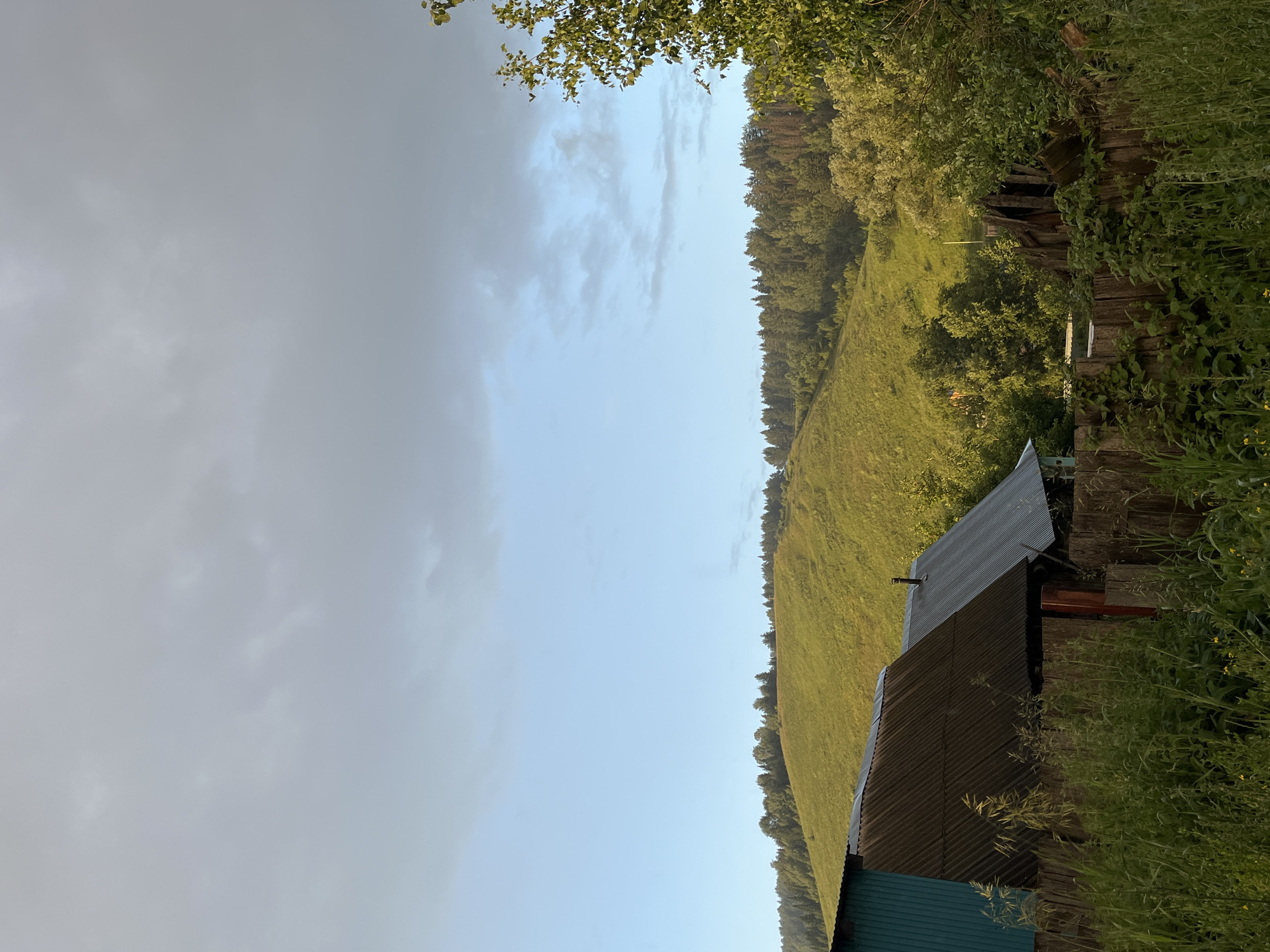This is a vertical, outdoor shot of a rural landscape in Olkhovka, Russia. The scene appears to be a hillside covered in green grass, with a dense line of trees running along its upper edge. To the right, a weathered wooden fence borders the property, overgrown with various plants and tall grass. In the foreground, the corrugated metal roofs of two sheds or small buildings are visible, one dark grey and the other teal.
The sky dominates the left side of the image, appearing overcast with some patches of lighter blue peeking through. The lighting suggests it might be late afternoon or early evening, as the light has a soft quality. The overall atmosphere is tranquil and serene, evoking a sense of peaceful rural life. There is no visible text in the image. The focus is on the natural elements of the landscape and the humble man-made structures integrated within it.
