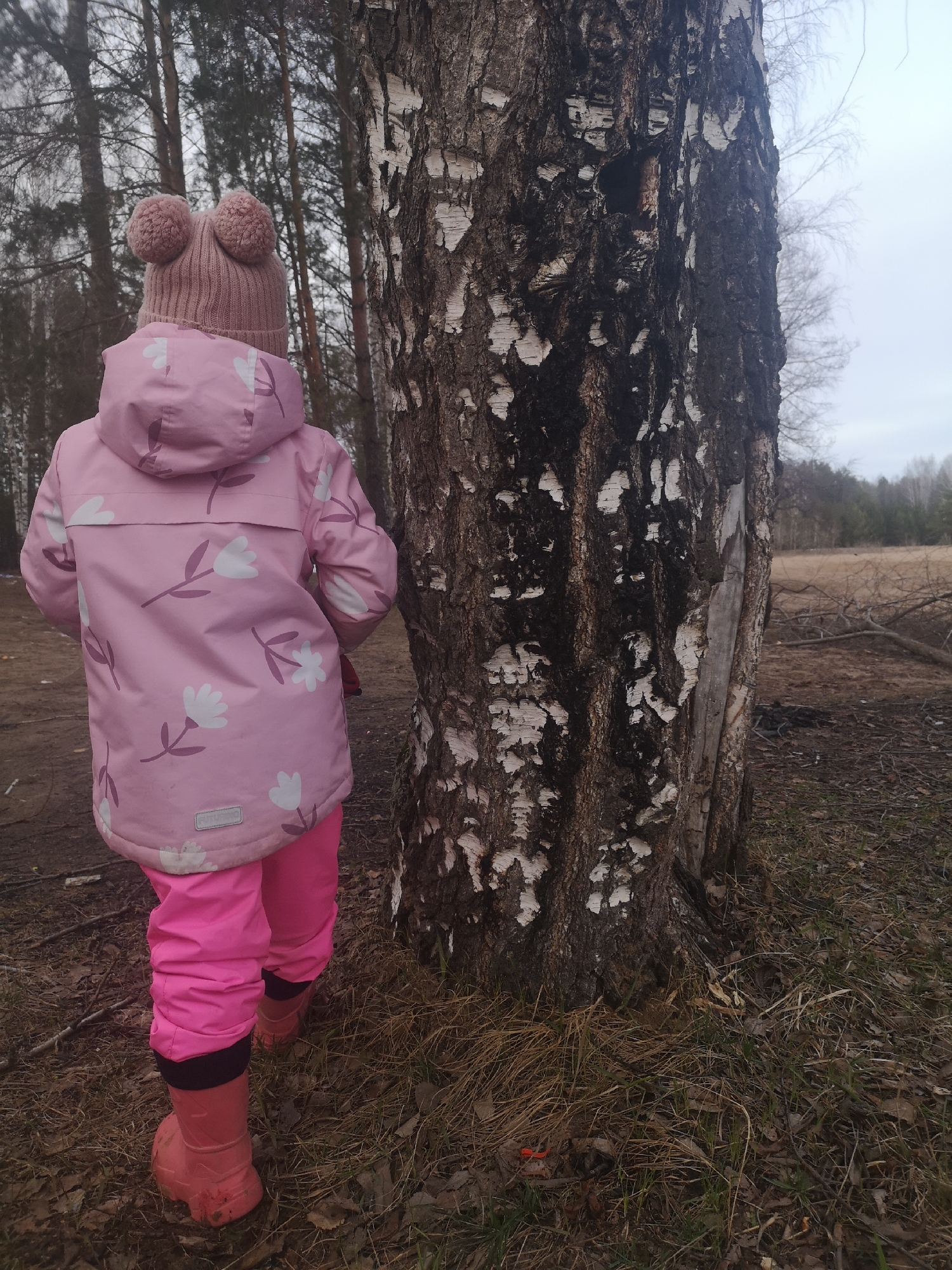 A small child, seen from the back, stands next to a birch tree in an outdoor environment. The child wears a pink jacket with a floral pattern, pink pants, and pink rubber boots. A knit hat with pom-poms sits on the child's head. The birch tree has characteristic white and black bark. The ground around the tree is covered with grass and dead leaves. In the background, bare trees are visible, along with a field. The photo was taken in Noviy, Russia.