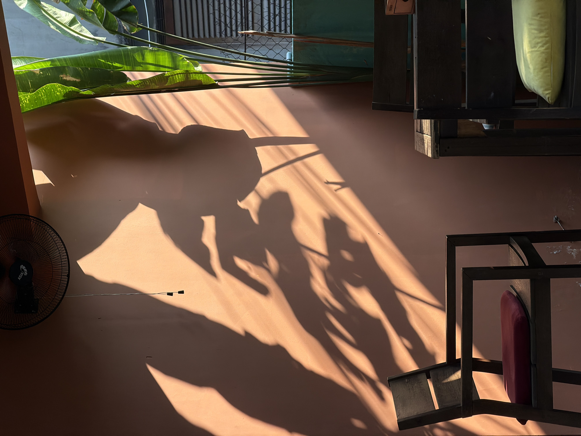 A tilted overhead shot displays a shaded, peachy-colored wall. The shadow of a person or figure is prominent, stretching from the top-left corner towards the center of the image, alongside other shadows. In the top-left corner, green banana leaves appear above a window. A black fan is mounted on the left side of the wall. To the upper-right, dark wooden furniture is visible. In the lower-right corner, parts of a chair frame and a red cushion are visible. Based on the details available, including the furniture and flora, the location is likely a residential interior in Đà Nẵng, Vietnam.