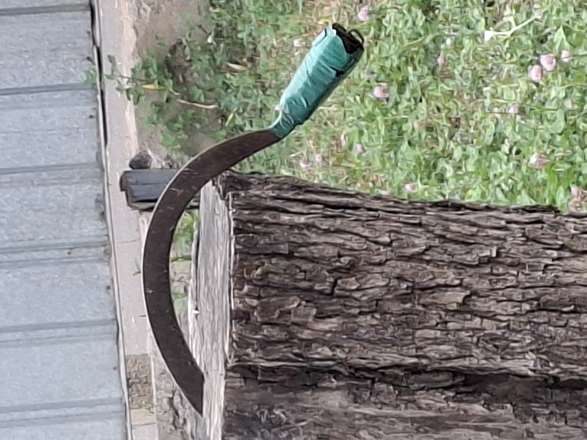 A rusty sickle with a green tape-wrapped handle is impaled into a weathered, rough-barked tree stump. The stump is positioned in the foreground on the left side of the image. Behind the stump, to the right, a patch of green grass dotted with small pink flowers is visible. In the background, a grey corrugated metal fence stands, with some dirt and sparse greenery in front of it. The overall scene appears to be outdoors, likely in a rural or semi-rural setting within Almaty, Kazakhstan, possibly a garden or an abandoned lot. There are no people or animals present in the image.