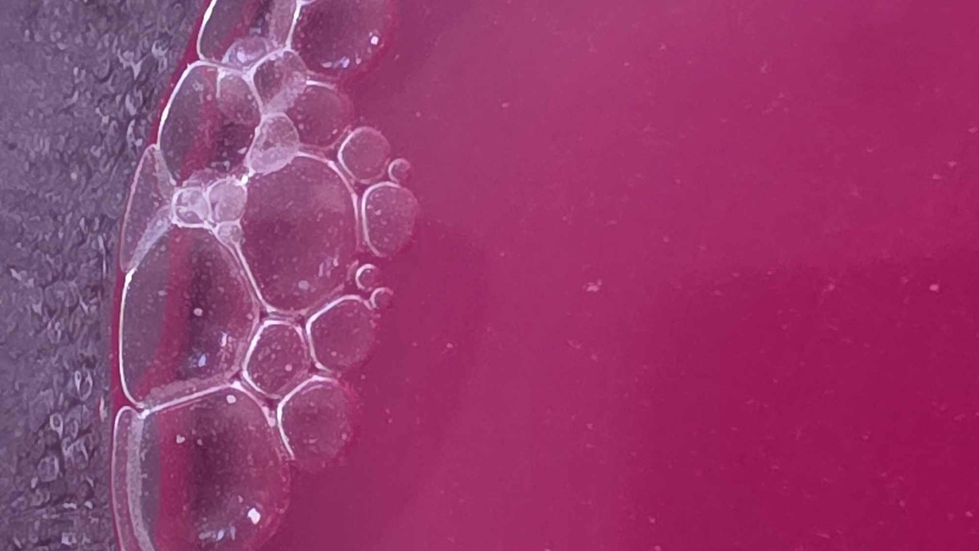 The image shows a close-up of a pink liquid with bubbles. The bubbles are concentrated on the left side of the image, along the edge of what appears to be a container. The right side of the image is mostly pink liquid. There are no people or identifiable objects beyond the liquid and bubbles. The image provides no information about the location or the city of Blagoevgrad, Bulgaria.