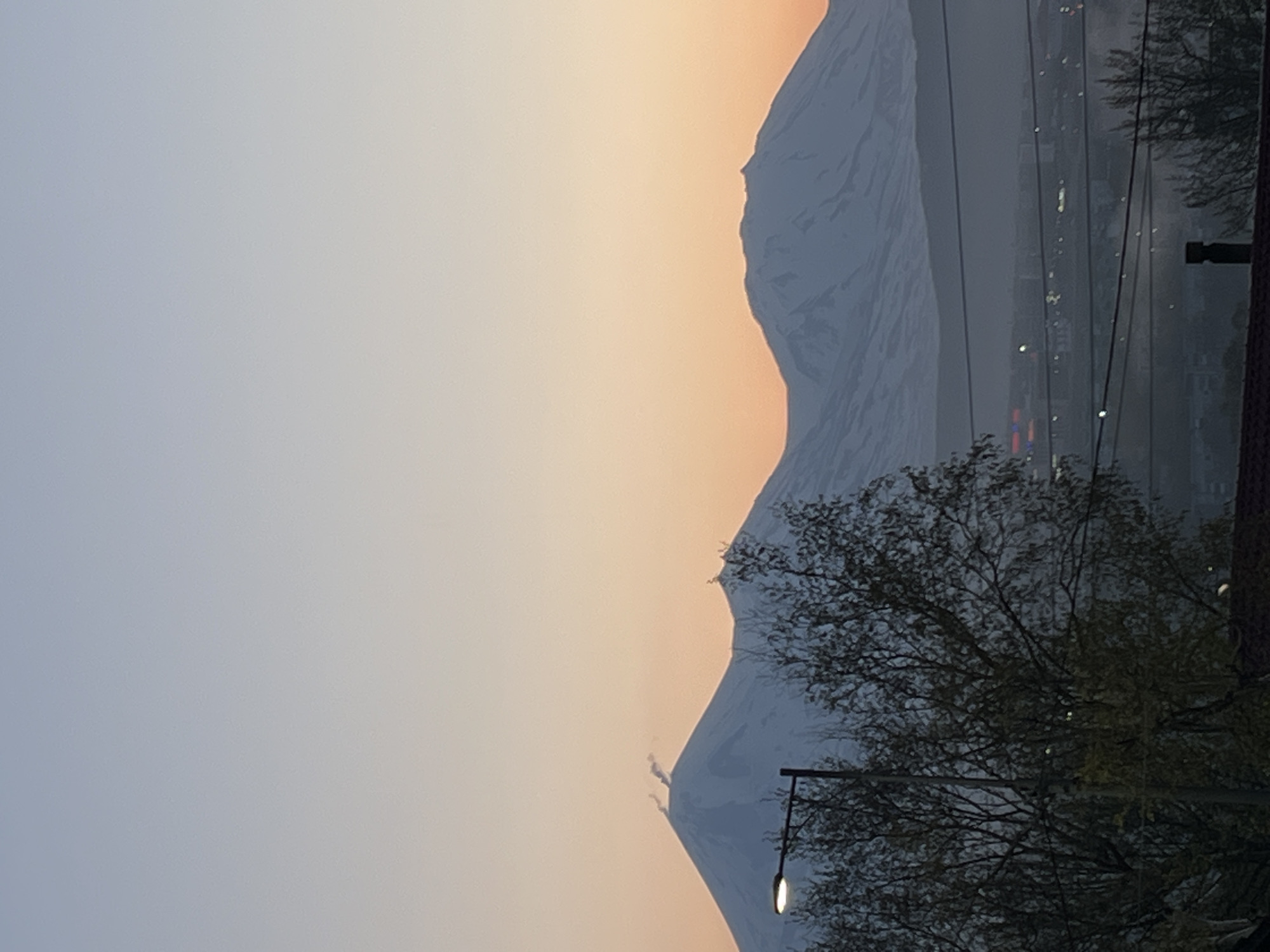 The image captures a twilight scene over the city of Petropavlovsk-Kamchatsky, Russia, likely at sunrise or sunset, indicated by the sky's gradient transitioning from light blue at the top to hues of orange and pink near the horizon. In the background, three snow-capped mountains or volcanoes dominate the landscape. The leftmost mountain exhibits two distinct plumes of steam or smoke rising from its peak.
In the midground, a hazy urban area of Petropavlovsk-Kamchatsky is visible, with scattered artificial lights illuminating parts of the cityscape. Several dark power lines stretch horizontally across this section. In the left foreground, a dark street light pole stands upright, featuring an illuminated white bulb. Partially obscuring the midground and mountains are numerous bare tree branches or trees with sparse foliage. The immediate bottom foreground reveals a dark rooftop, with a dark, rectangular chimney stack visible on the right side of the roof.