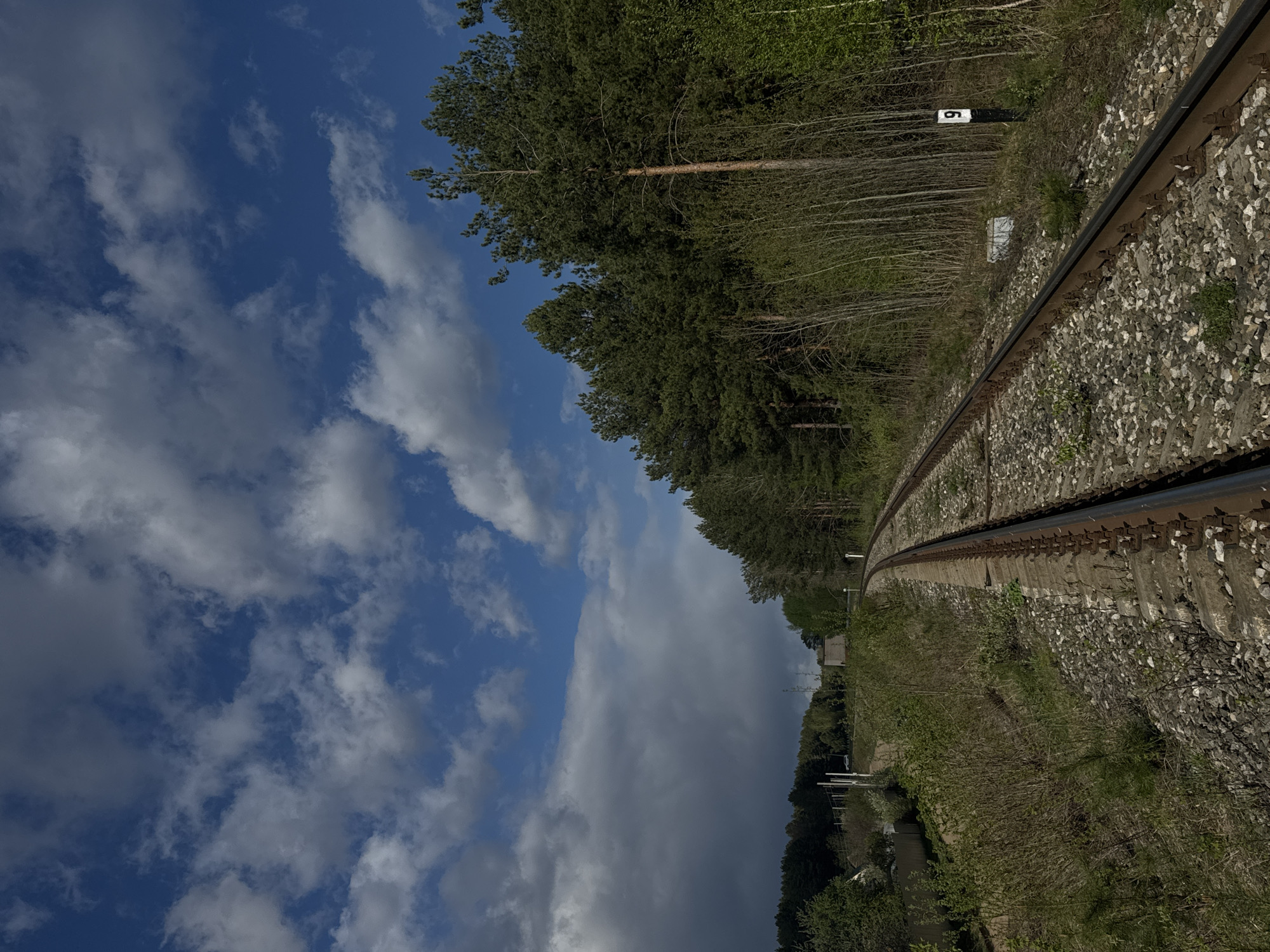 The image depicts a section of railway track curving to the right, with a wooded area to the right of the tracks and a cloudy blue sky visible on the left. The railway is lined with gravel. A white marker with the number "6" is visible alongside the tracks. The location is Chaikovsky, Russia. No people or specific actions are visible.
