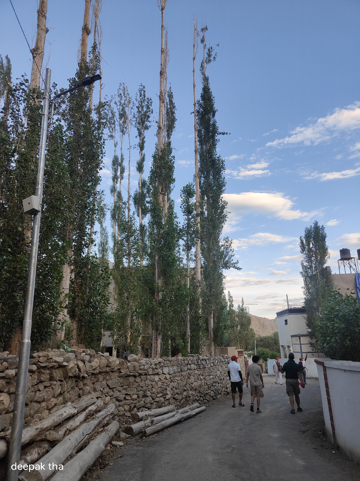 In the city of Leh, India, a street scene unfolds beneath a partially clouded blue sky. Tall, slender trees line the left side of the frame, their leaves forming a dense green canopy. A metal lamppost with a modern lamp fixture stands prominently on the left, and a small grey box is attached to its base. In the foreground, a dry-stone wall runs along the street, with a pile of freshly cut logs resting against it. The road itself is paved and appears to be a simple, unadorned path. Several people are walking away from the camera down the road. The buildings in the background are low-rise structures, typical of Leh's architecture, with flat roofs and light-colored walls. Some structures have water tanks on their rooftops. The overall atmosphere suggests a quiet, late afternoon in a residential area.