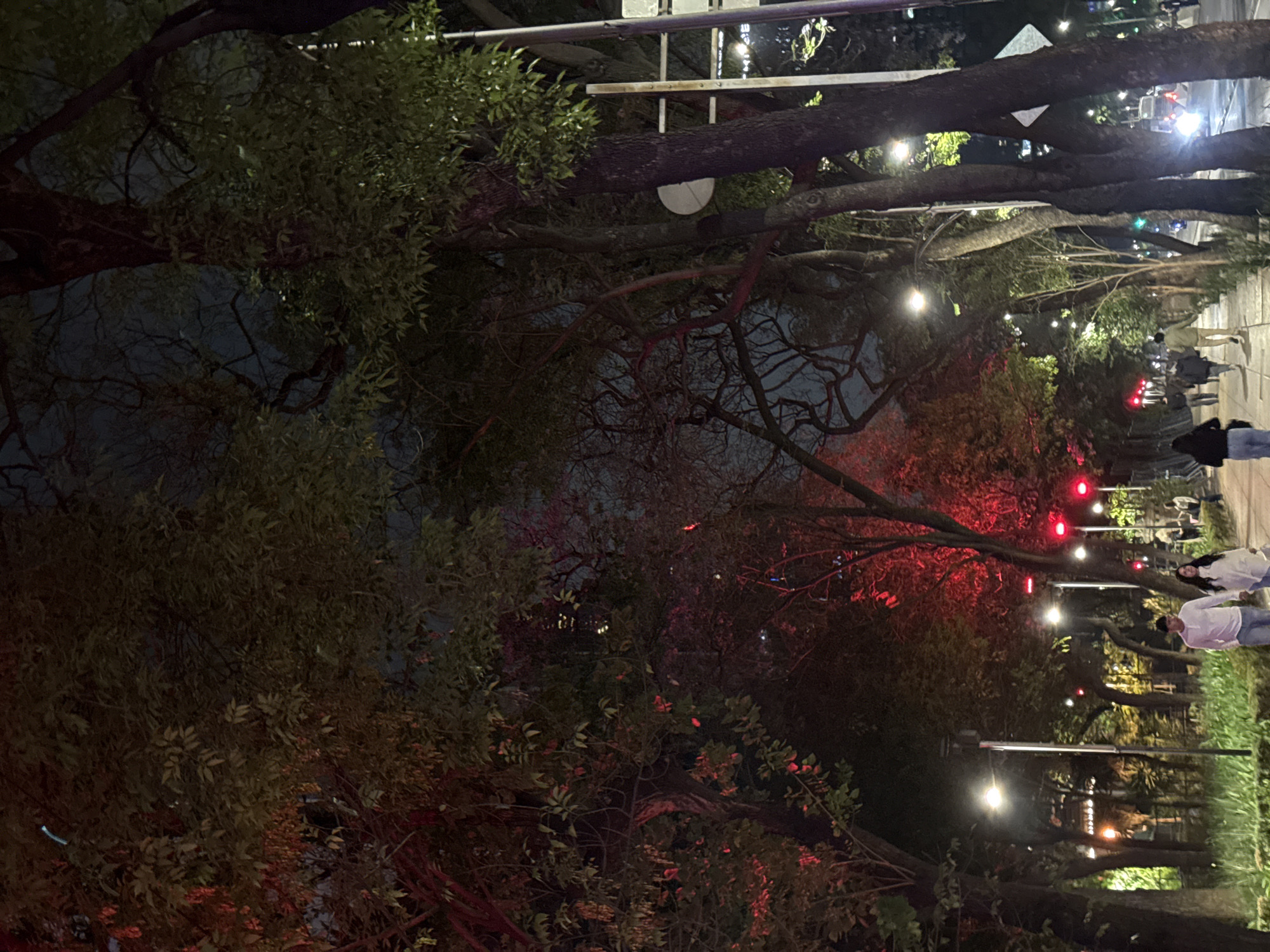The image depicts a nighttime scene in Mexico City, Mexico. The foreground is dominated by dense foliage, with trees and bushes obscuring much of the view. Red lights are interspersed among the branches, suggesting a deliberate lighting scheme. Further back, a pedestrian walkway or street can be seen, with people walking along it. There are also white street lights illuminating the area, providing a contrast to the red lights in the trees. The scene appears to be a park or garden area, likely in a public space within the city. The overall impression is that of a landscaped urban environment designed for nighttime enjoyment.