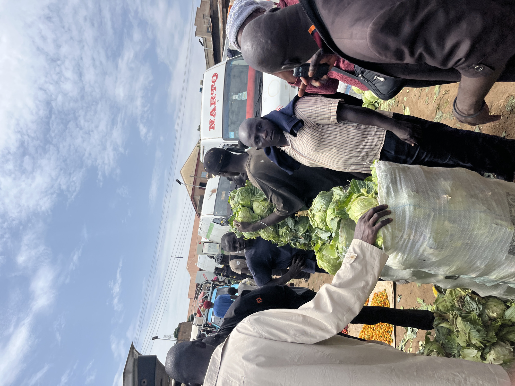 This image depicts an outdoor market scene in Gura Top, Nigeria, likely during the daytime given the bright sky. The weather appears to be clear with scattered white clouds. The primary subjects are a group of men actively engaged in commerce. They are standing around stalls laden with fresh produce, predominantly large heads of cabbage.
Several individuals are interacting with the produce, with one man in the foreground wearing a light-colored jacket, reaching towards a large bag of cabbage. Another man, in a striped shirt, is looking towards the camera while standing next to a pile of cabbage. Behind them, a white vehicle with red lettering that reads "NARTO" is partially visible, suggesting a transportation or logistics aspect to the market. More people are seen in the background, some appearing to be customers or other vendors, and the scene is set against a backdrop of buildings and overhead wires, indicating an urban or semi-urban environment.
The overall atmosphere seems busy and functional, typical of a local market. The expressions on the faces of the people visible are neutral or focused on their tasks. The ground appears to be dusty earth, common in many open-air markets. The presence of various vegetables, including what looks like small yellow peppers or tomatoes in another stall, further emphasizes the agricultural and commercial nature of the location.
