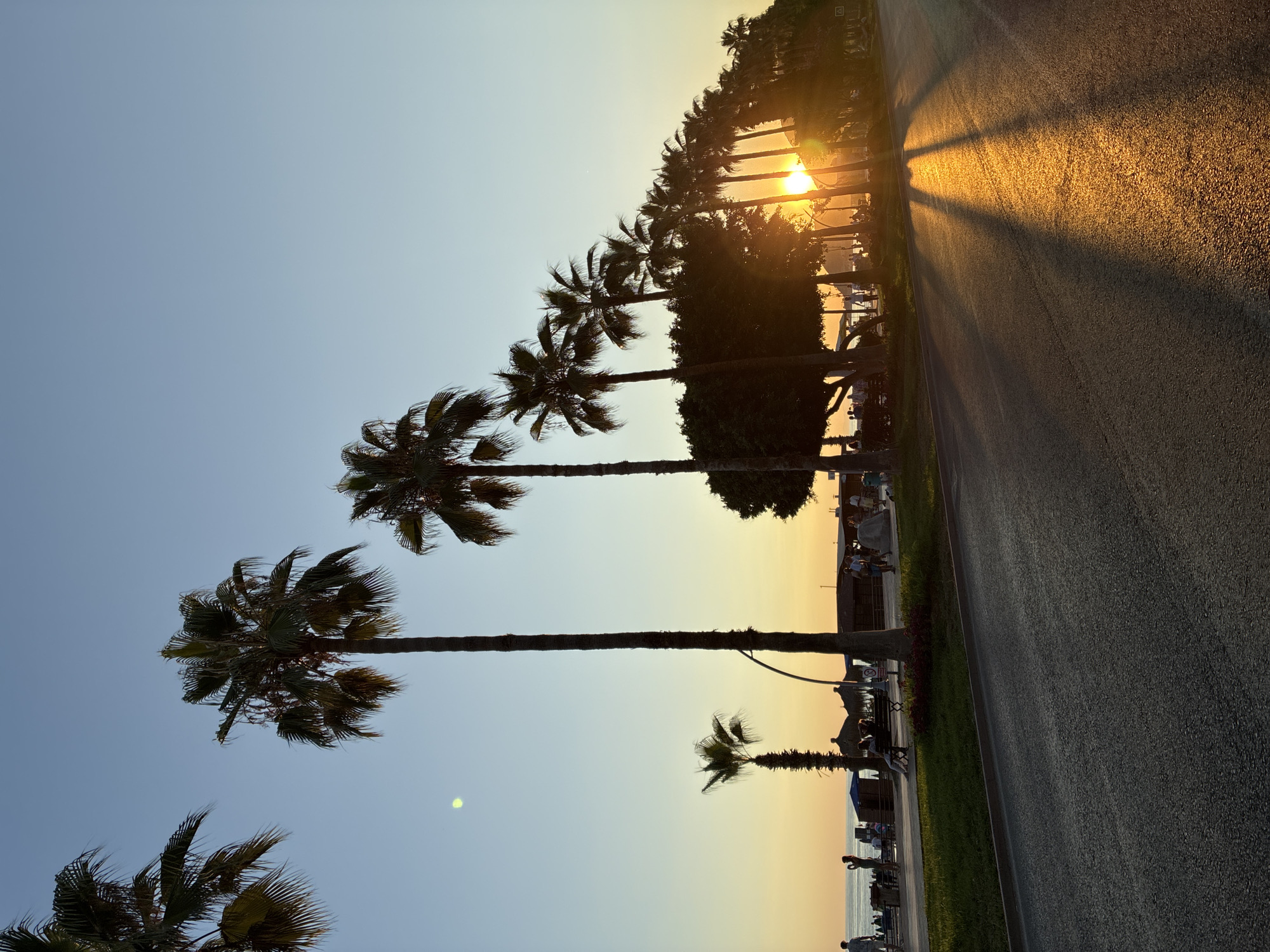 The image depicts a sunset scene along a coastal promenade in Alanya, Turkey, likely near the Ataturk Boulevard. A line of palm trees silhouetted against the fading light forms a visual barrier between a paved walkway and the road in the foreground. The setting sun, a bright orb of intense orange, is visible between the trunks of several palm trees on the right side of the image, casting long, dramatic shadows across the asphalt.
The promenade is populated with a few individuals and small groups. Some are walking, while others appear to be resting on benches or observing the sunset. Beach umbrellas and small structures are discernible in the background, suggesting a commercial or recreational area adjacent to the sea. The sky transitions from a pale blue at the top to a warm orange-yellow hue near the horizon, indicating the time of day. The overall atmosphere is tranquil, with the natural beauty of the sunset amplified by the tropical vegetation.