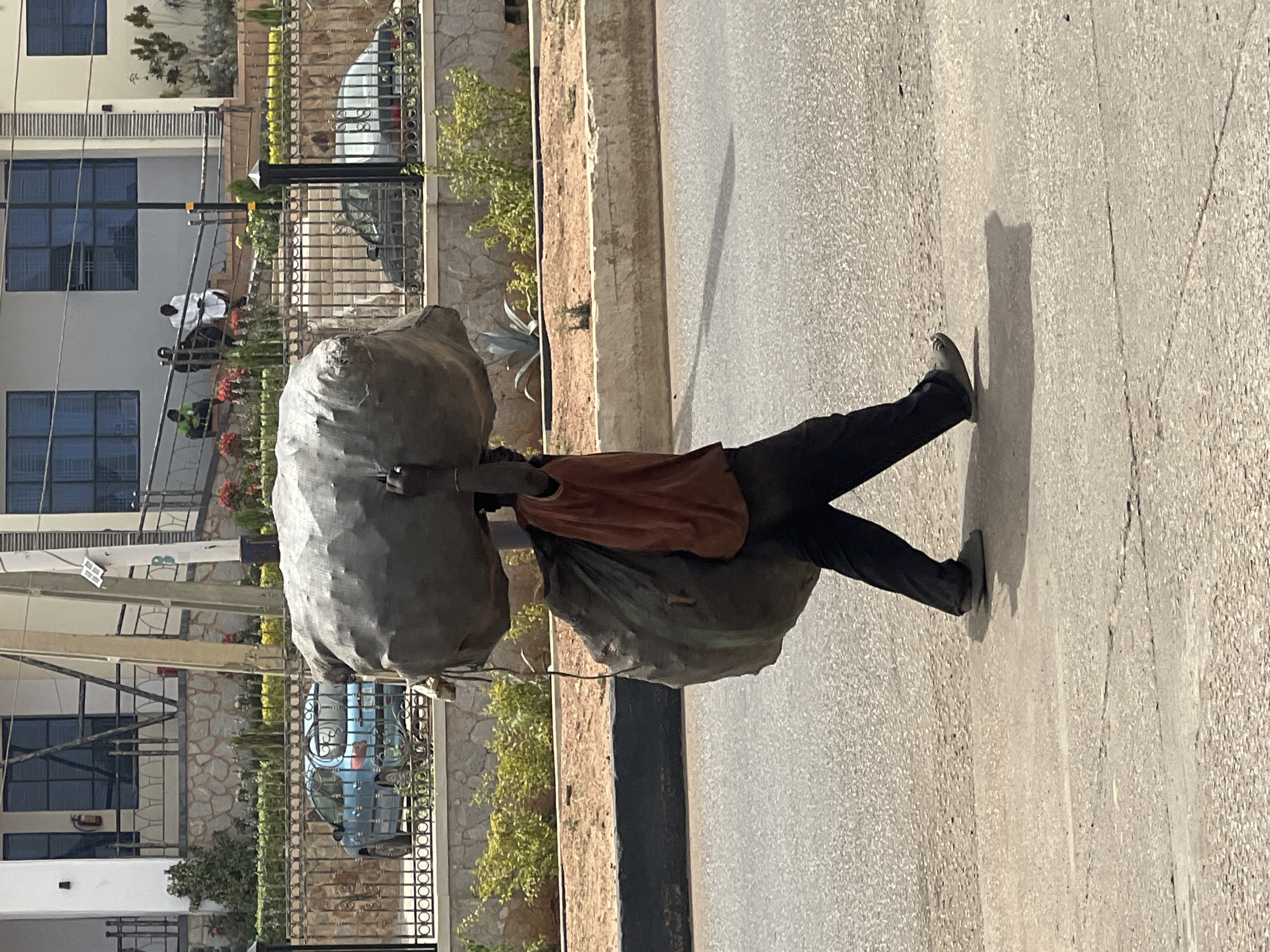 The image, oriented correctly, depicts a street scene in bright daylight. The main subject is a person, likely male, seen from a side profile, walking or standing on a paved road. They are heavily laden with two very large, greyish sacks; one is positioned on their back, and the other hangs from their front or side, indicating a substantial and balanced load. The person is dressed in a plain, possibly brown or orange, t-shirt and dark pants, with dark shoes. Their posture conveys the effort of carrying the heavy burden.
Strong sunlight casts distinct shadows on the light grey asphalt road, suggesting a clear day, possibly in the morning or late afternoon due to the length of the shadows. Adjacent to the road is a raised curb or sidewalk composed of dirt and stone, featuring patches of green vegetation, including small bushes and succulents.
In the background, behind an ornate black metal fence, stand multi-story buildings with light-colored facades and numerous windows, some with a blue tint. A light blue car is visible parked behind the fence, and parts of another lighter-colored car can be seen further back. Several other people are present in the background, seated or standing near the buildings behind the fence, with one person prominently wearing white attire. The scene suggests an urban or semi-urban environment with visible manual labor. There is no discernible text in the image.