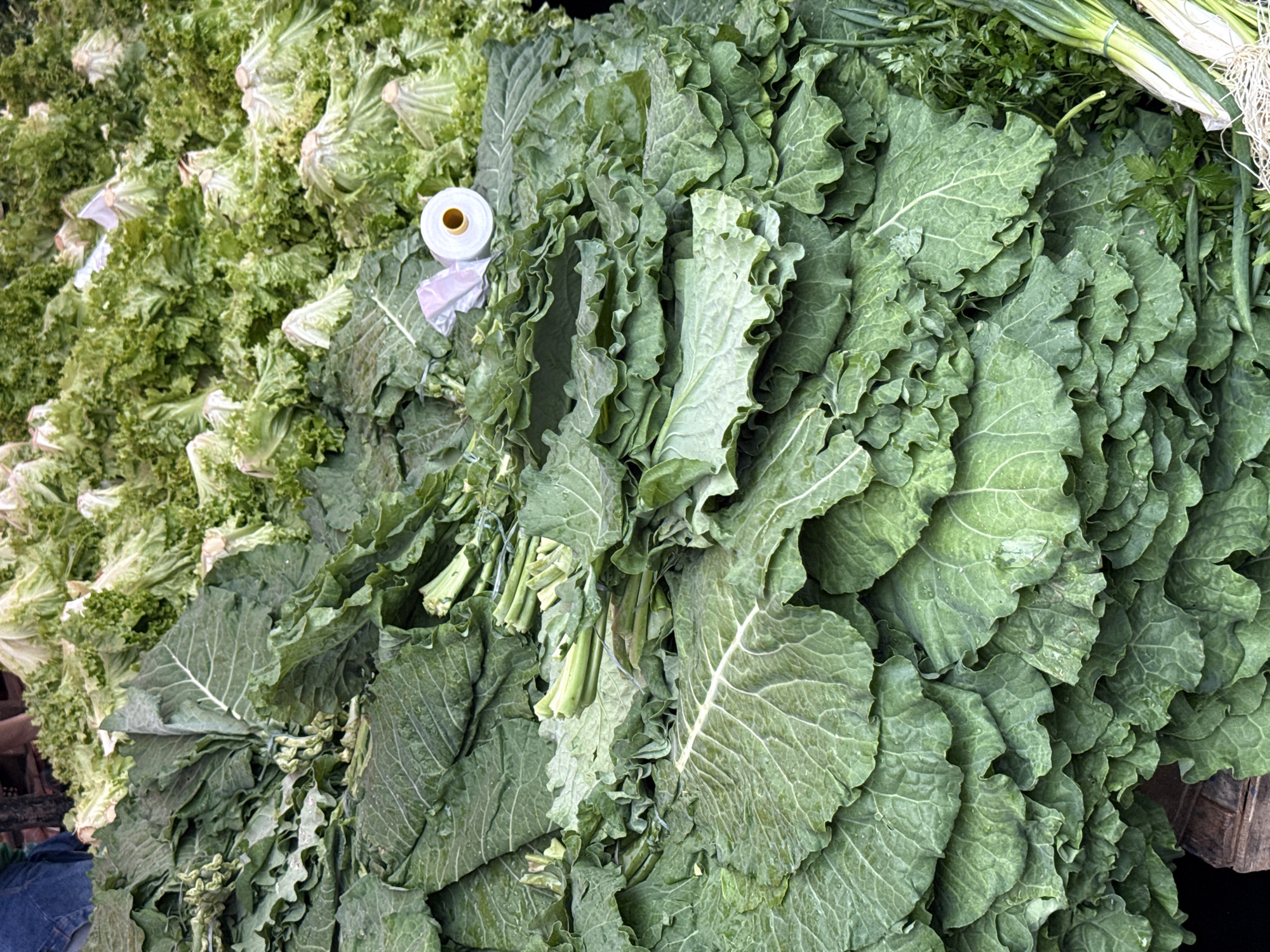 A large pile of leafy green vegetables is displayed at a market stall. The vegetables in the foreground are dark green, with thick stems and broad, crinkled leaves, resembling collard greens or kale. Behind these, lighter green, frilly lettuce heads are visible, some with white plastic ties around their bases. A roll of clear plastic tape with a white core sits atop some of the dark green leaves. In the upper left corner, a person's arm, clad in a blue denim garment, is partially visible. To the right, bundles of green onions and parsley are also for sale. The scene appears to be an outdoor market in Nilópolis, Brazil, given the context provided. The lighting suggests it is daytime.
