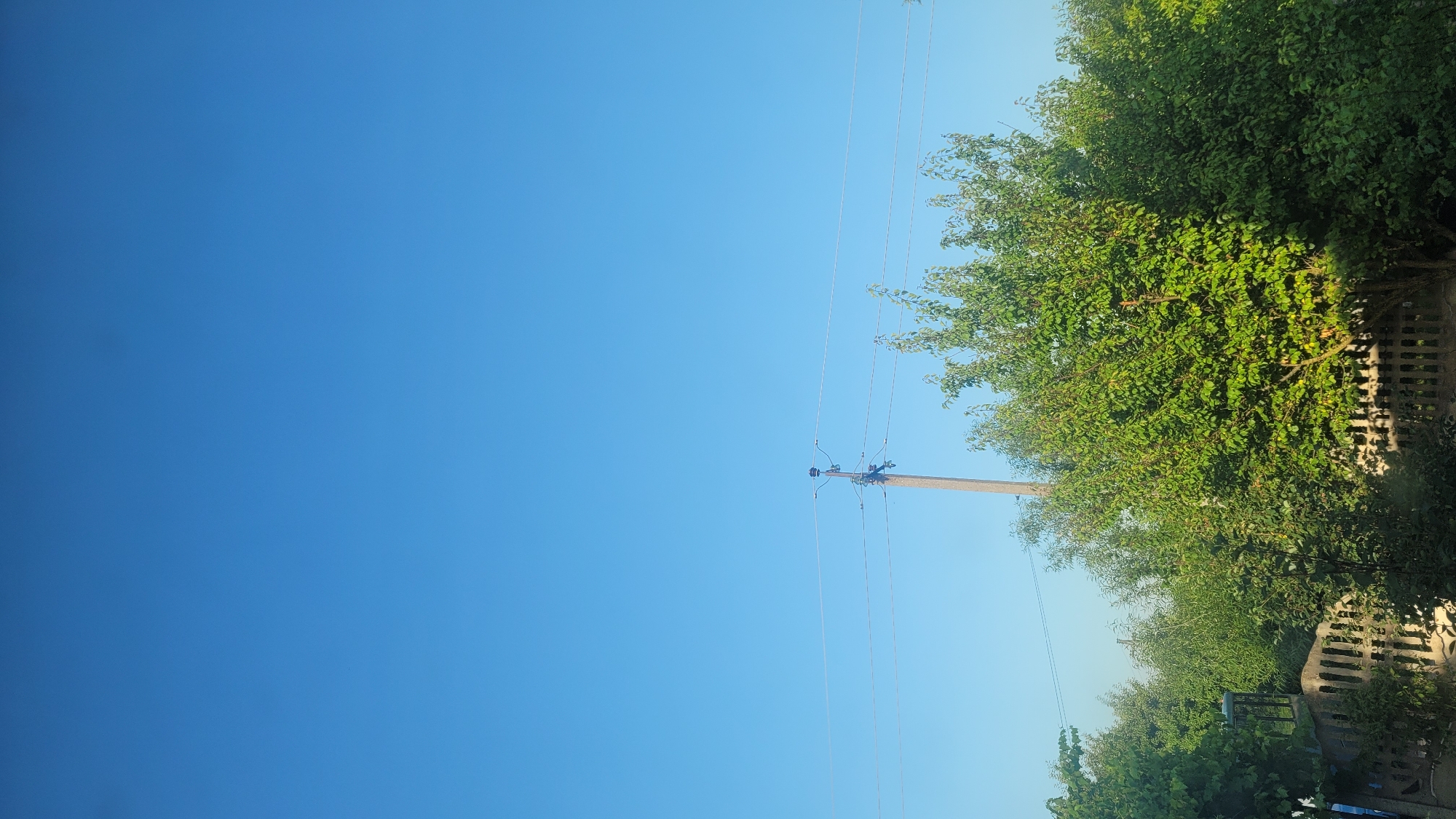 The image depicts a clear, blue sky dominating the upper portion. In the middle ground, a utility pole with electrical wires stretches horizontally across the frame. Below the wires, a dense canopy of green trees and foliage occupies the lower half of the image. A low, decorative fence made of concrete or stone runs horizontally in the foreground, partially obscured by the trees. The scene appears to be outdoors in a residential or garden setting.