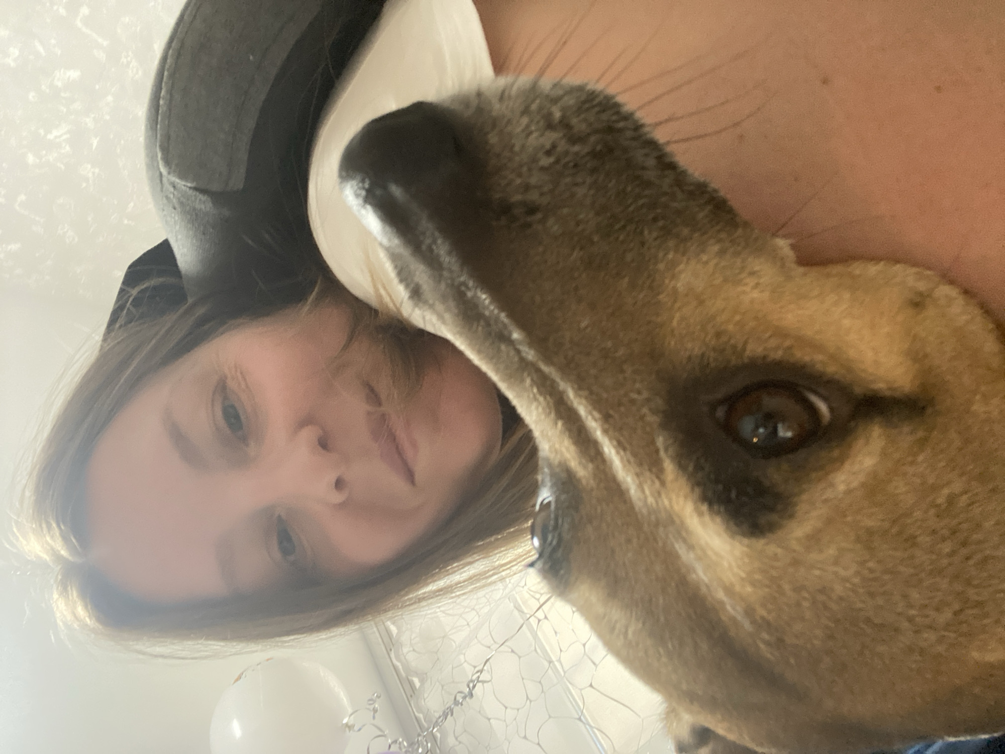A woman with light brown hair, wearing a dark grey baseball cap, is taking a selfie with a brown and black dog. The dog's face occupies a large portion of the right side of the image. The woman is on the left, her face partially obscured by the dog. There are white balloons in the lower left corner. The background is indistinct. There is no indication of the image being in Noviy, Russia.