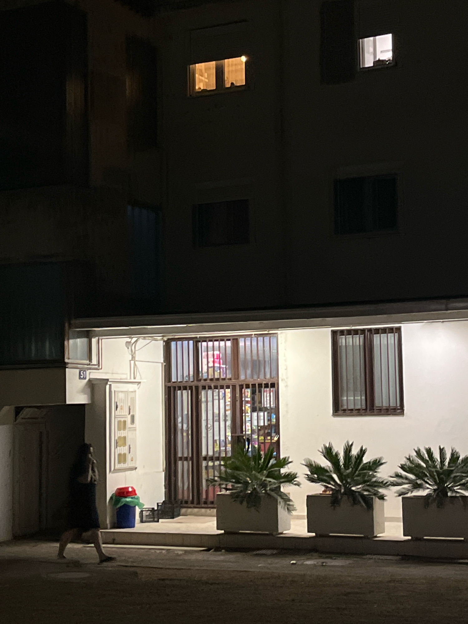 An exterior night shot shows a building with lit windows on upper floors, and a ground-level entrance with bars on the windows. Three potted plants are lined up in front of the building, and a woman in a dark dress walks away from the entrance. The scene appears to be in an urban setting.