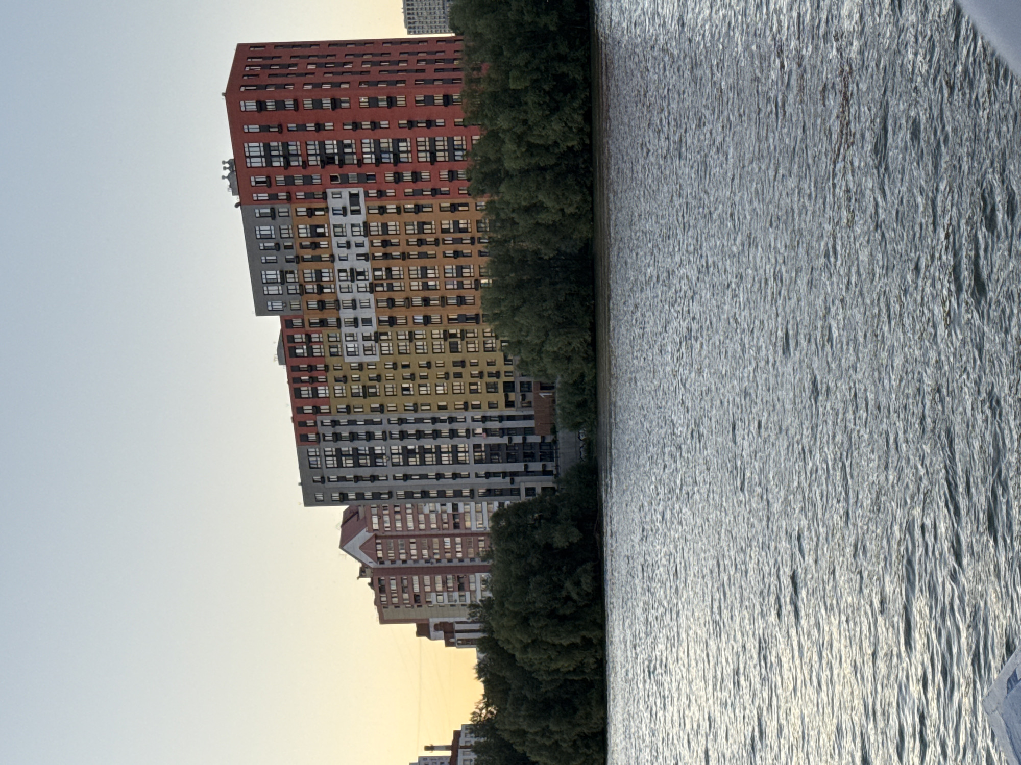 The image depicts a wide river in the foreground with ripples on its surface, reflecting the ambient light. In the mid-ground, a dense line of lush green trees forms a natural barrier along the riverbank. Behind the trees, a series of modern, multi-story apartment buildings are visible. The buildings are characterized by their colorful facades, featuring sections of red, orange, yellow, gray, and white. They have numerous windows arranged in a grid pattern. The sky above is a clear, pale blue, suggesting either early morning or late afternoon. The scene is likely a residential area in the city of Novosibirsk, Russia, possibly located along the Ob River, which flows through the city. There are no people or discernible actions captured in the image.