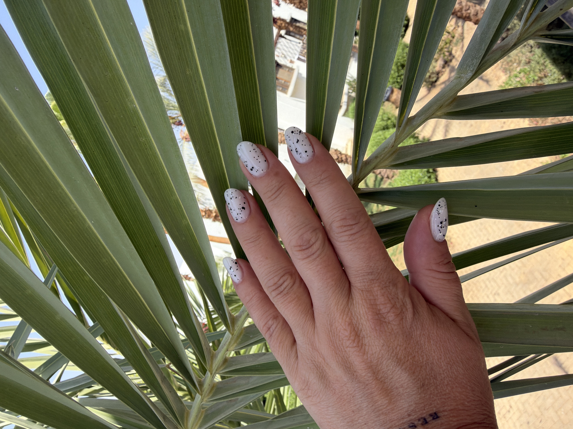 A close-up, eye-level shot focuses on a person's hand resting on a large, green palm frond. The hand is on the left side of the frame, with the fingers extended and partially obscured by the frond. The fingernails are painted white with black speckles. A faint tattoo is visible on the wrist. Behind the palm frond, a blurry background reveals an outdoor scene with buildings, palm trees, and a sandy path. The sky is a clear blue. The lighting suggests it is daytime. The location is identified as Sharm El Sheikh, Egypt.