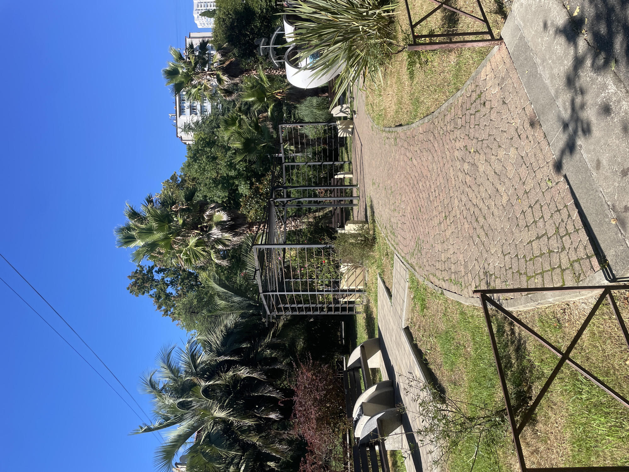 This is a medium shot, eye-level, outdoor photograph taken in Sochi, Russia. The scene depicts a paved pathway in a park-like setting. The pathway is made of small, reddish-brown cobblestones and curves to the right. To the left of the path, there are several concrete park benches with wooden slats. Behind the benches, there is a dense area of dark red bushes. Further into the park, there is a metal structure that appears to be a gazebo or trellis. Palm trees and other green foliage are abundant throughout the scene, some with large fronds. To the right of the path, there is a white, curved structure with dark accents, possibly a piece of modern art or playground equipment. In the background, several multi-story buildings can be seen peeking through the trees, indicating an urban environment. The sky is a clear, bright blue with two thin, dark power lines crossing it diagonally in the upper left corner. The lighting suggests a sunny day, with shadows cast on the path and grass.