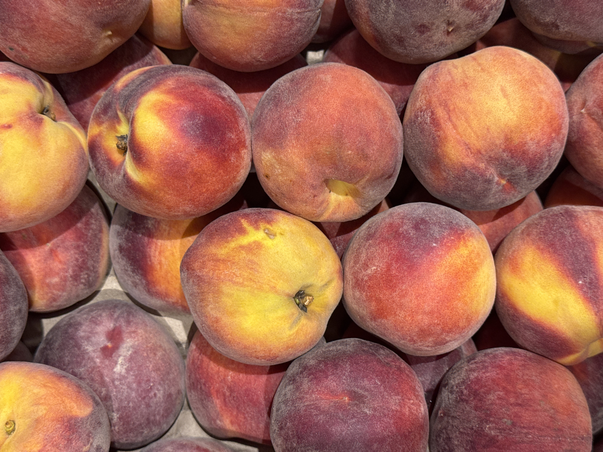 The image shows a close-up, overhead view of a large pile of ripe peaches. The peaches are a mix of red, orange, and yellow, with some showing blush marks and slight fuzz. They are packed tightly together in what appears to be a container or a display. The lighting suggests an outdoor setting, possibly a market or farm stand. There are no people or animals visible in the image. The setting is not identifiable as being in Vilvoorde, Belgium, or any specific city.