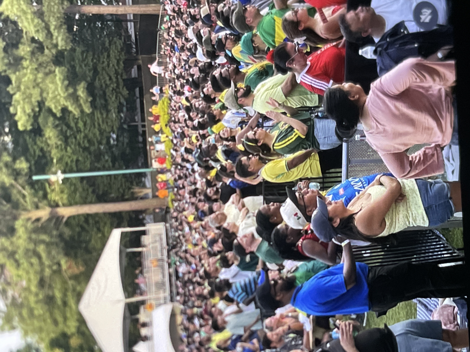 The image depicts a large outdoor gathering of people, likely at a concert or sporting event, in a park-like setting. In the background, a white tent structure with railings is visible, elevated and offering a vantage point. Beyond that, mature trees form a dense canopy against a hazy sky. The foreground is densely populated with individuals, many wearing brightly colored clothing, suggesting a festive atmosphere. Several people are looking towards an unseen focal point, indicating a shared experience. The ground is partially covered with grass and what appear to be picnic blankets. The overall impression is one of a lively public event taking place in an urban green space.