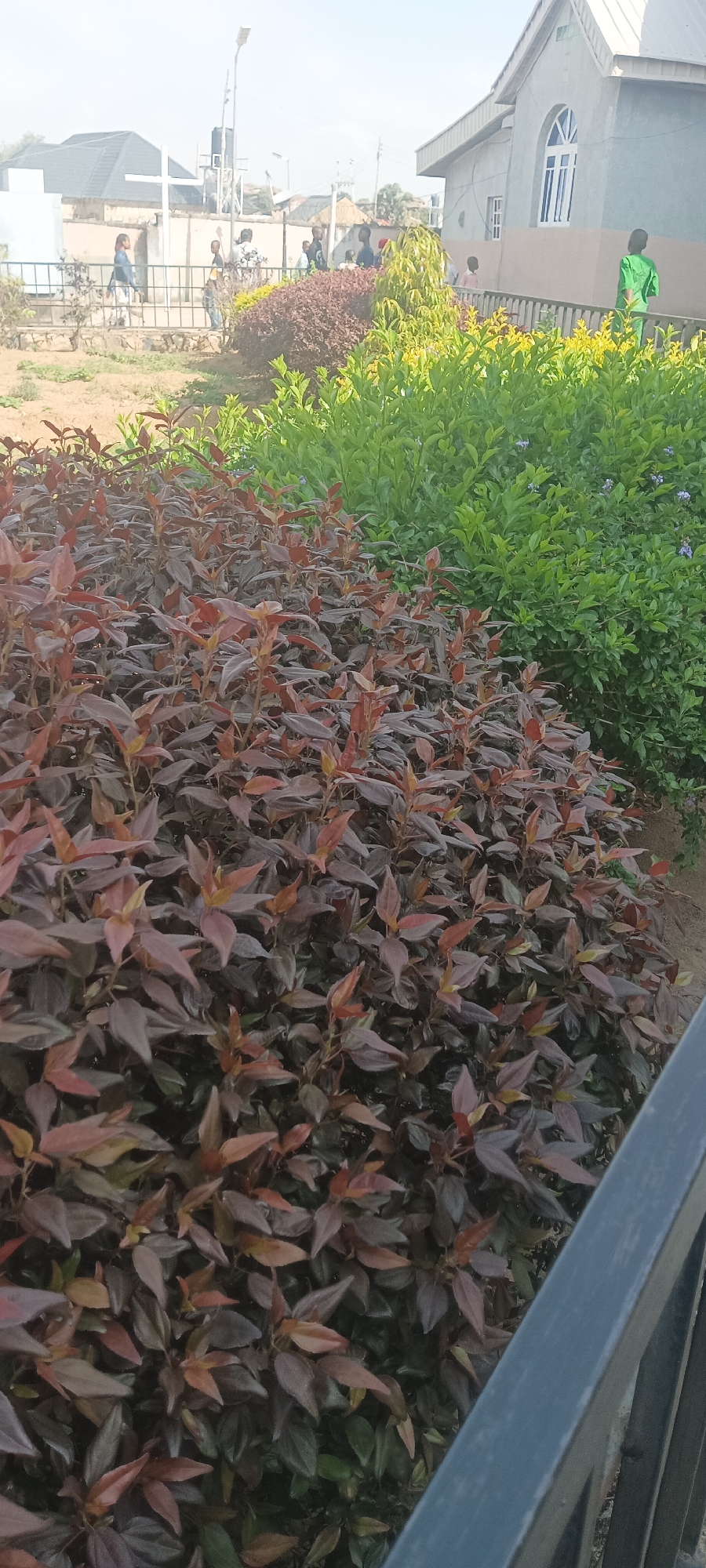 The image shows a garden setting along Rukuba Road, Nigeria. In the foreground, there are dense bushes with reddish-brown leaves. Behind them, a row of green bushes with small violet flowers is visible. Further in the background, a low wall or railing separates the garden from an open space where several people are standing. A building with a gray roof and a rounded window can be seen on the right side of the image. A few other buildings are visible in the distant background. A portion of what appears to be a metal fence is in the lower right corner of the image.