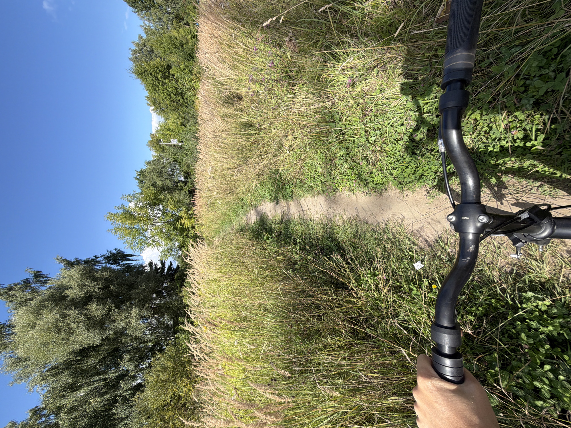 The image depicts a first-person perspective of someone riding a bicycle on a dirt path in a grassy field. Tall, dry grass lines both sides of the path, with some green grass and small purple flowers visible. A large tree with green foliage is on the left, and a line of trees forms a backdrop under a clear blue sky. The handlebars of the bicycle are prominent in the foreground, with the rider's left hand holding the grip. A small yellow flower and some white litter are visible on the path near the rider's hand. The location is identified as Ozërki SNT, Russia.