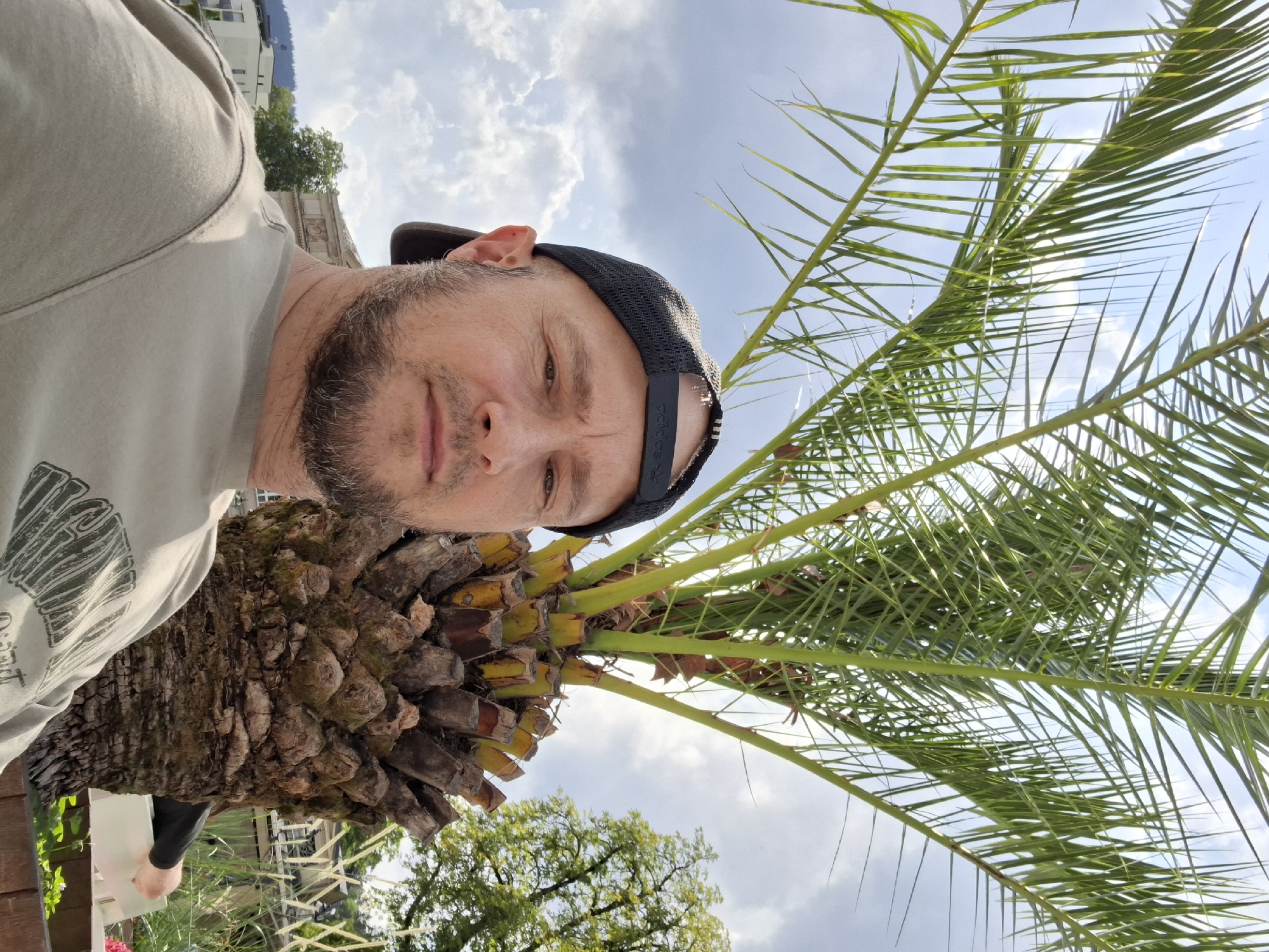 A man wearing a black baseball cap and a light green t-shirt is shown in a selfie. He has a beard and is looking at the camera. Behind him, a palm tree is visible, with its fronds extending towards the sky. The background includes buildings, trees, and clouds, suggesting an outdoor setting in a city, likely in Baden-Baden, Germany, given the presence of palm trees in the city's climate.