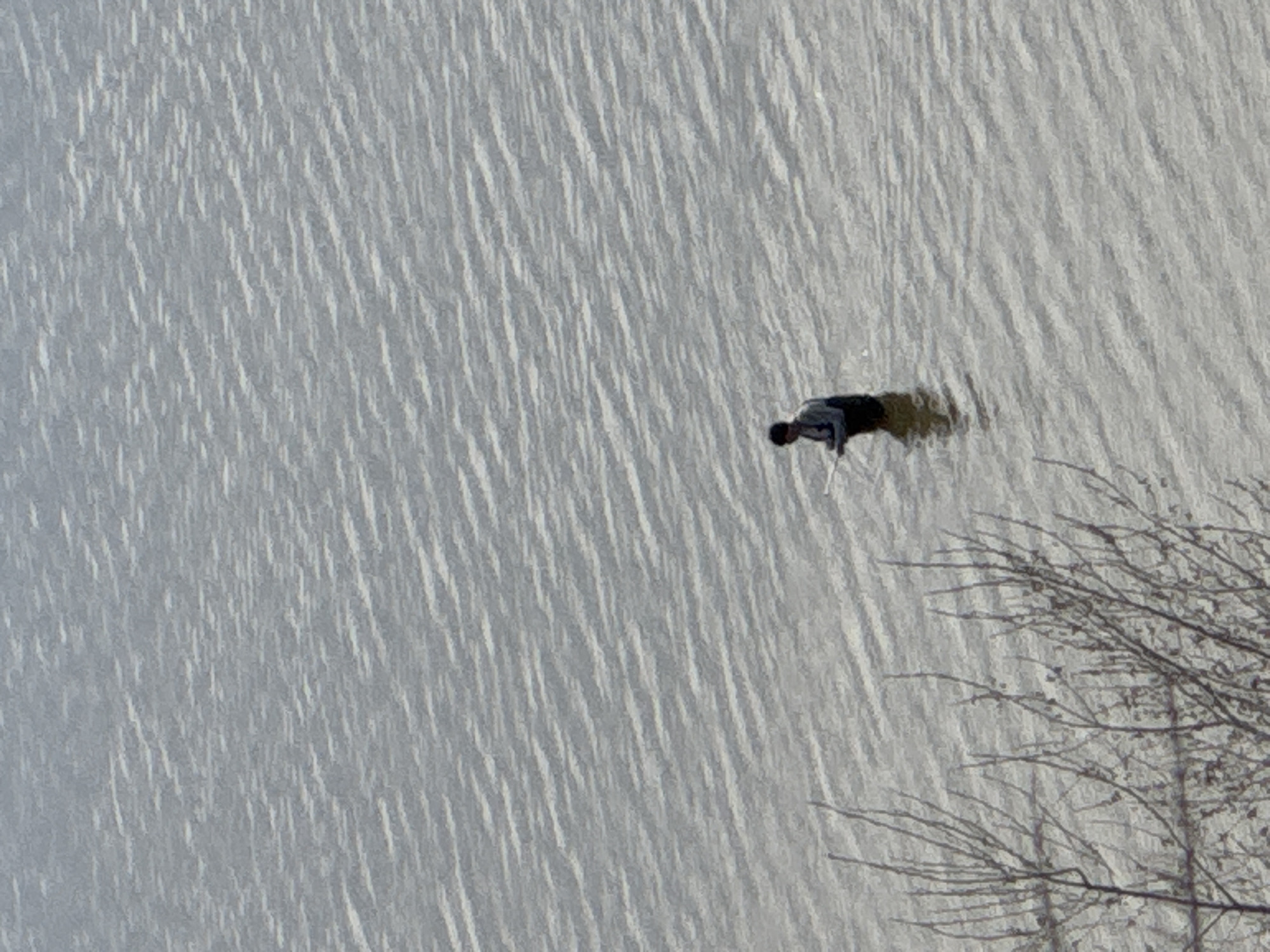 The image shows a person on a frozen body of water, possibly a lake or river, in the city of Unknown, Unknown. The person appears to be ice skating, with their body leaning forward and one leg extended. The surface of the ice is marked with tracks and a distinct linear pattern. A bare tree is visible in the lower right corner of the image, its branches reaching into the frame. The overall scene suggests a cold, winter environment.