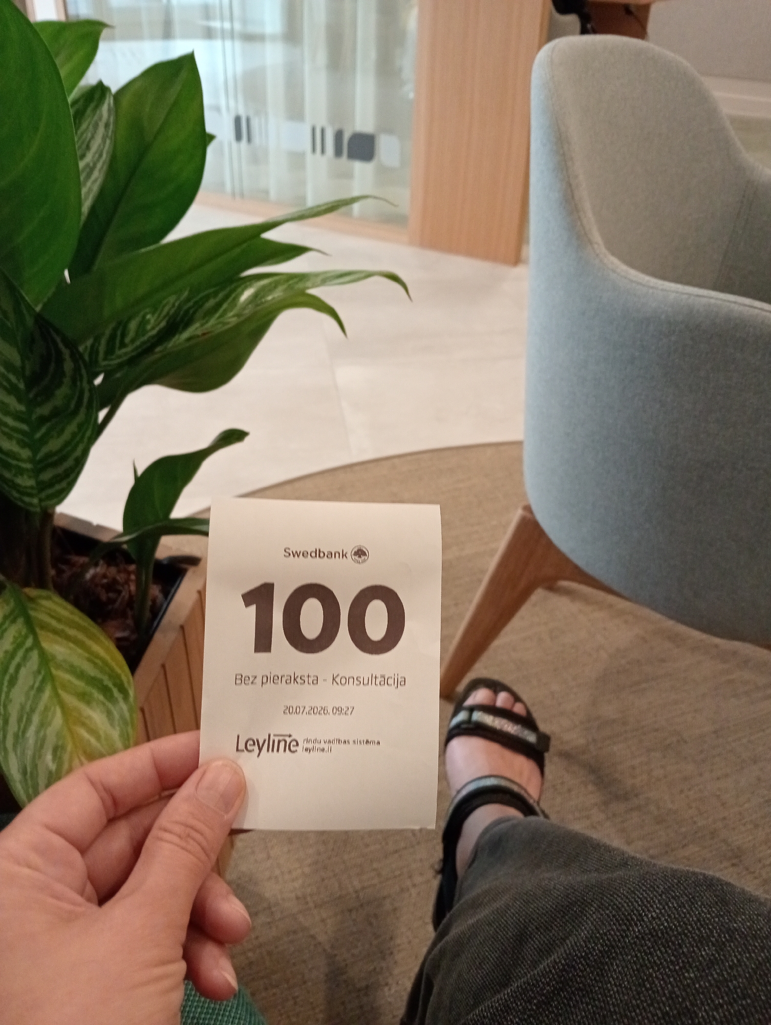 A person's hand is holding a white ticket with a large number "100" printed on it. Above the number, the logo and name "Swedbank" are visible. Below the number, it reads "Bez pieraksta - Konsultācija" and a date and time "20.07.2020, 09:27". Further down, the logo and name "Leyline" appear with text "rindū vadības sistēma leyline.il". The ticket is held in front of a potted plant with large green leaves and a grey armchair. The background shows a room with light-colored walls and furniture. The scene appears to be an indoor waiting area, possibly at a bank or other service establishment. The presence of "Swedbank" suggests the location could be in Riga, Latvia, as it is a prominent bank in the Baltic region.