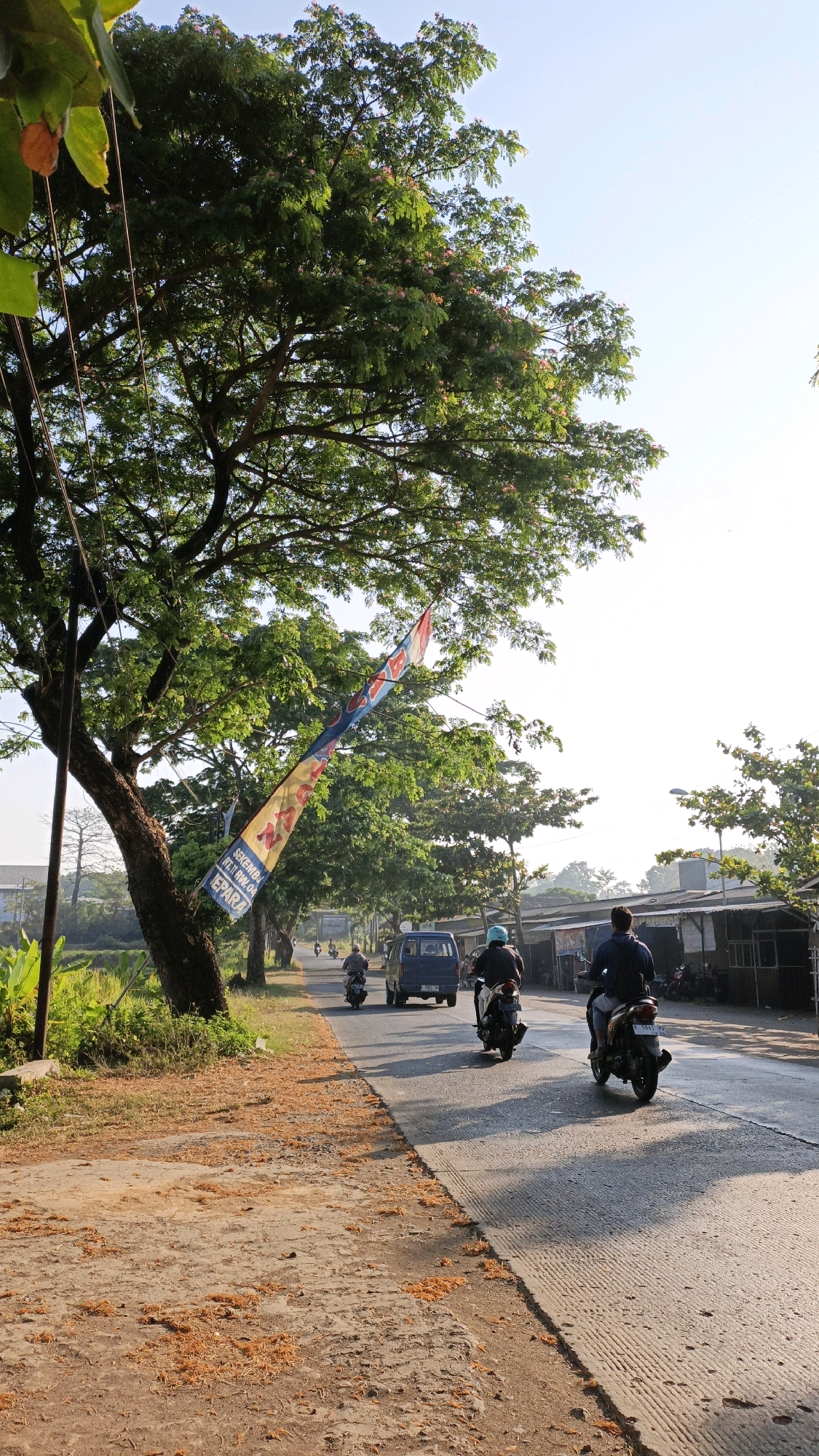 The image depicts a roadside scene in Bandengan, Indonesia, bathed in the warm glow of early morning sunlight. A large tree with dense green foliage dominates the left side of the frame, its branches reaching out over the asphalt road. A long, colorful banner, featuring text in Indonesian, hangs diagonally from one of the tree's branches, caught by the breeze.
The road itself is paved and shows signs of wear, with some rough patches and a distinct ridge marking the edge of a concrete section. Several vehicles are present on the road, moving away from the viewer. Two individuals are riding motorcycles, their forms silhouetted against the bright sky. A blue van is also visible, traveling in the same direction. The roadside on the left is a mixture of dry, dusty earth scattered with fallen orange petals, and lush green vegetation. On the right side of the road, a row of modest, open-fronted structures, likely shops or stalls, lines the pavement. The sky above is a clear, pale blue, suggesting a fine day.