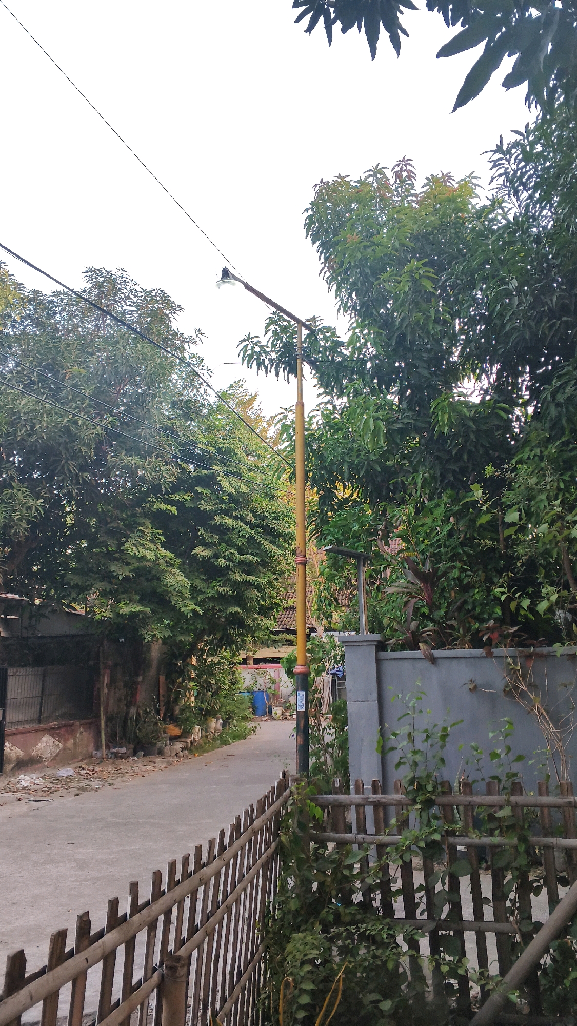 The image depicts a street scene in Indramayu, Indonesia, likely in a residential area. A paved road runs from the foreground into the distance, lined with lush green trees on either side. A yellow lamppost stands on the right side of the road, with a wire extending across the frame above it. A low, rustic wooden fence made of bamboo poles runs along the right foreground, partially obscuring the view of a grey concrete wall behind it. Various plants and foliage are visible both in front of and behind the fence. The sky above is overcast and pale. The overall impression is one of a quiet, possibly rural or suburban, street in a tropical climate. There are no people visible in the image.