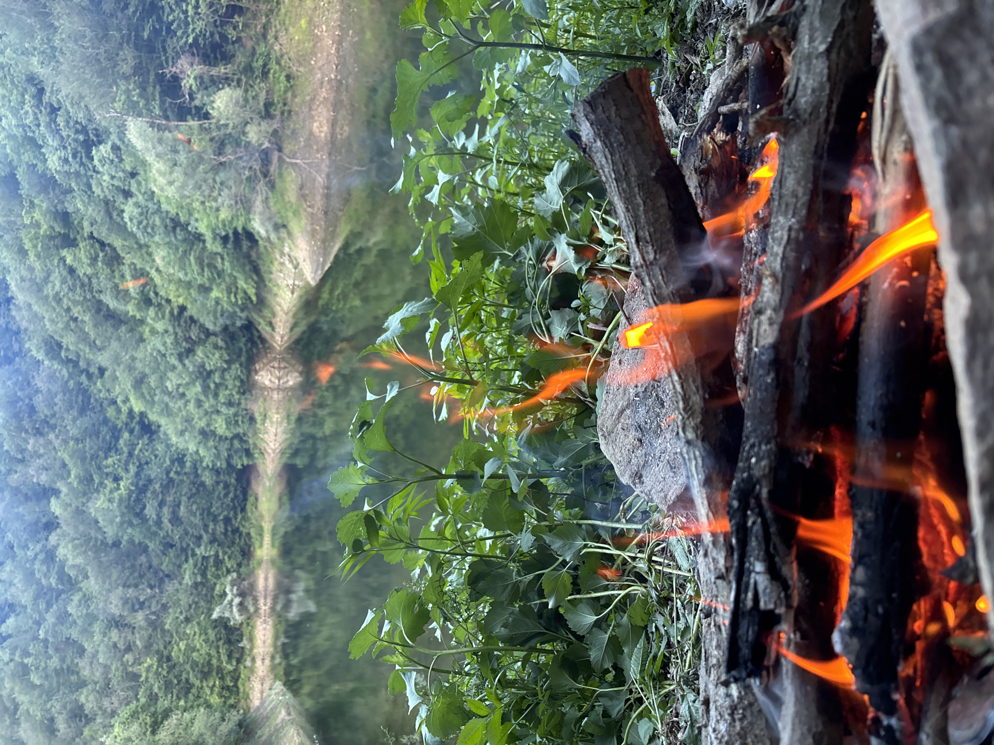 The image depicts an outdoor scene with a campfire in the foreground. The fire is actively burning with bright orange flames licking at logs and producing smoke. Green foliage, likely undergrowth or bushes, surrounds the fire pit. In the background, a body of water reflects the dense, green forest that covers the surrounding hills. The reflection of a path or clearing is also visible on the water's surface. The overall impression is one of a natural, possibly remote, location, suggesting a camping or recreational activity. The lighting and the presence of the fire imply it might be late afternoon or early evening, and the weather appears calm. No people or text are visible in the image.