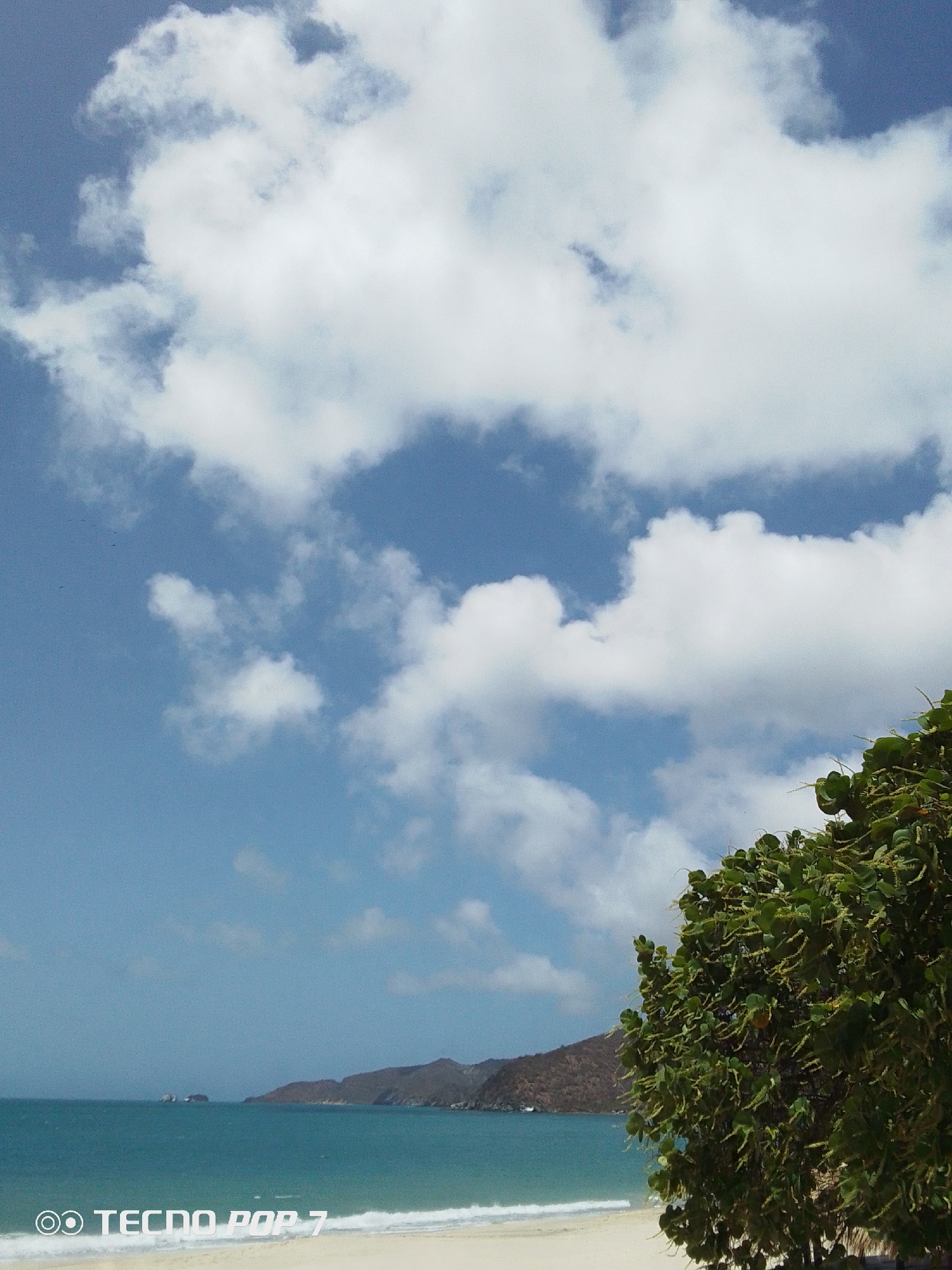 The image depicts a coastal scene in Pedro González, Venezuela. The foreground shows a sandy beach with gentle waves meeting the shore. In the middle ground, there is a turquoise-colored sea, leading to a mountainous coastline in the distance. Part of a tree occupies the right side of the frame. Above, the sky is light blue and filled with white clouds. The scene appears serene and sunny.
