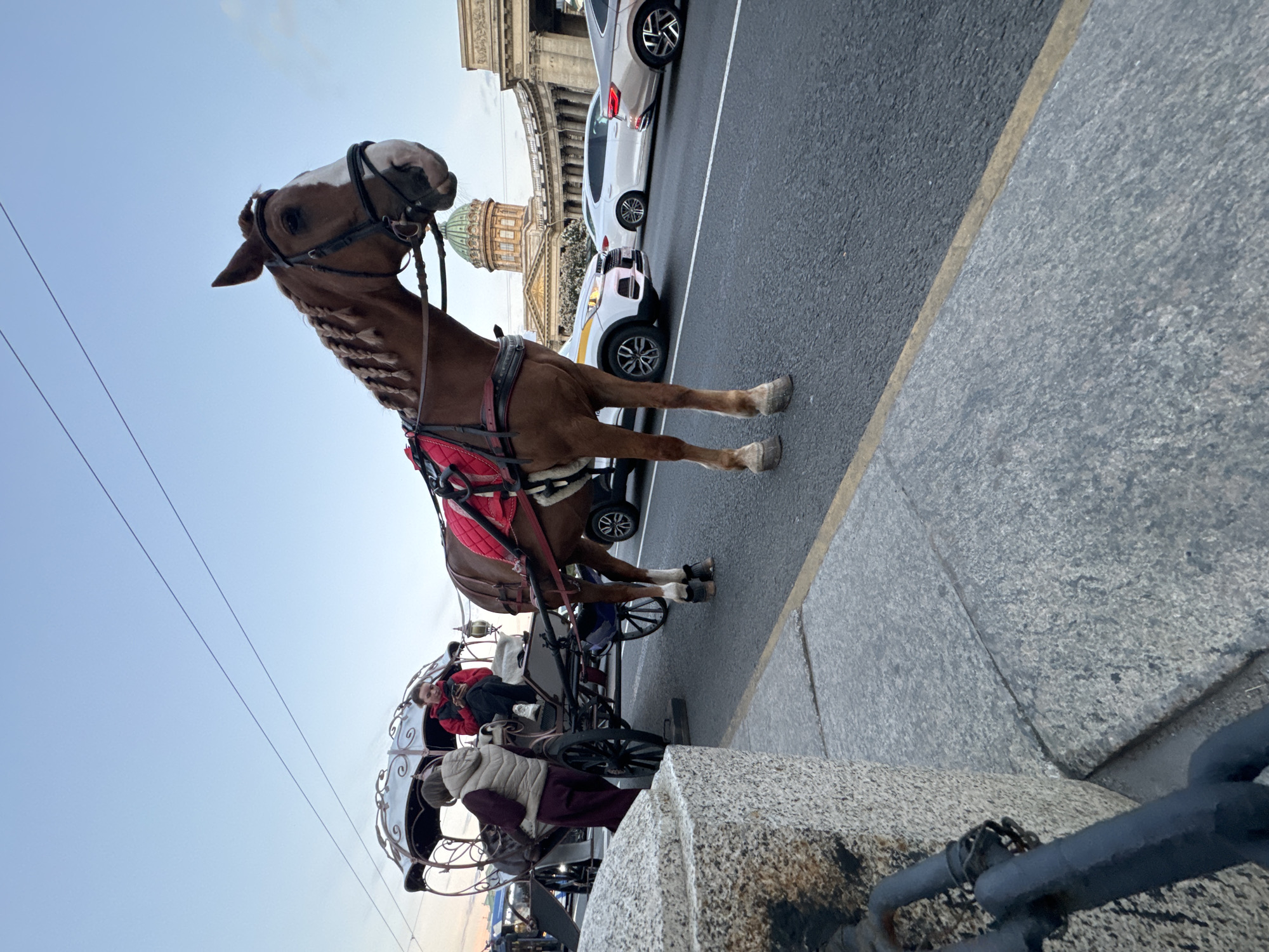 In Saint Petersburg, Russia, a brown horse is harnessed to a decorative carriage. The horse, facing right, has its mane braided and wears a red saddle blanket. A young woman sits in the carriage, looking at her phone. Beside the carriage, another person, likely a guide or driver, stands in a tan vest and maroon pants. They are positioned on a paved street with a granite sidewalk in the foreground. In the background, cars are visible on the road, and the distinctive dome and colonnade of Kazan Cathedral are prominent. The sky is a pale blue with a few wispy clouds, suggesting it is either dawn or dusk.
