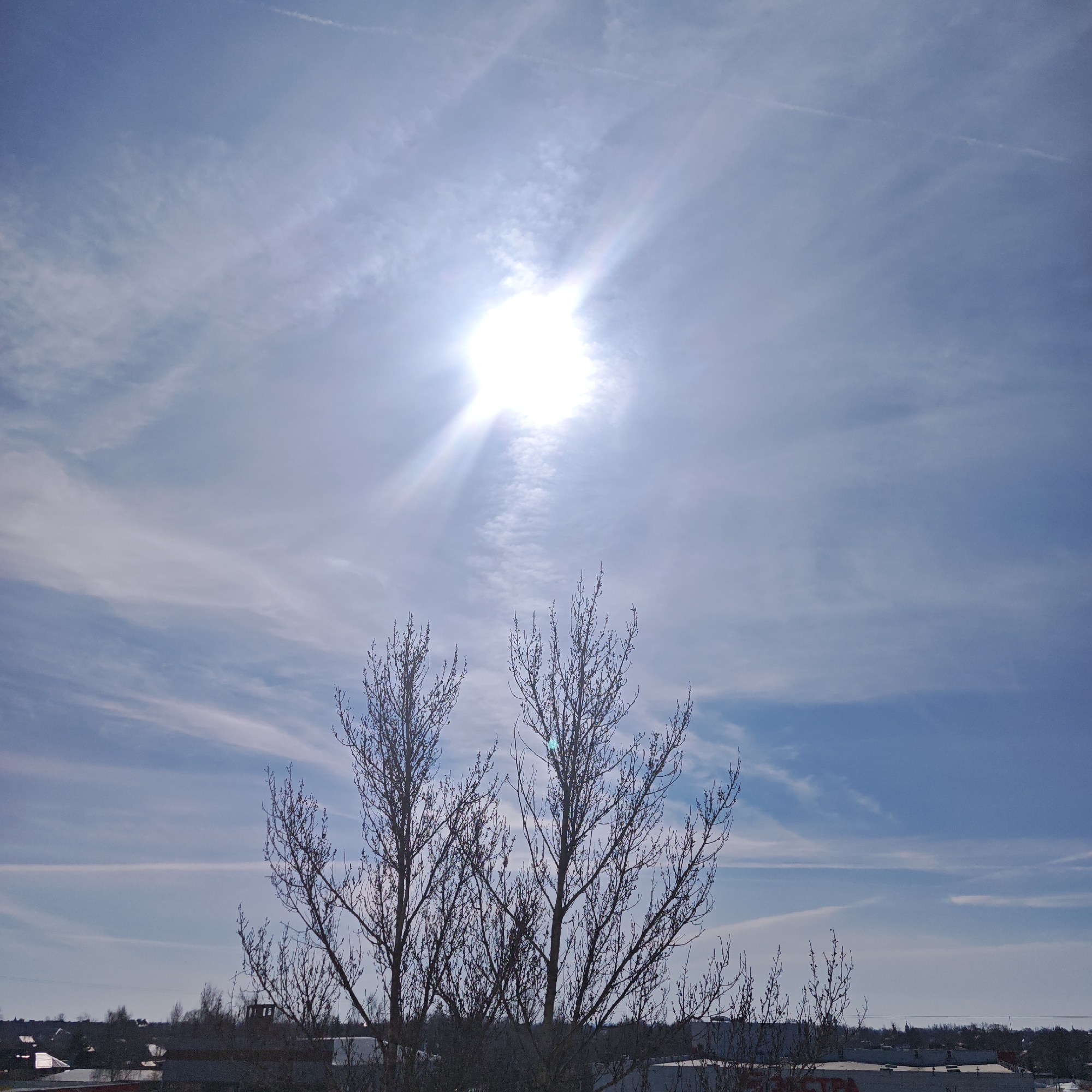 A daytime shot features a bright sun shining through a partly cloudy sky over Rostov, Russia. Two bare-branched trees dominate the midground, silhouetted against the sky. Below the trees, rooftops of buildings are visible, including one with the word "SPECTRA" visible on its side. The houses are in Rostov, Russia. The sky is blue with streaky white clouds, and a contrail of aircraft cuts across the upper sky.