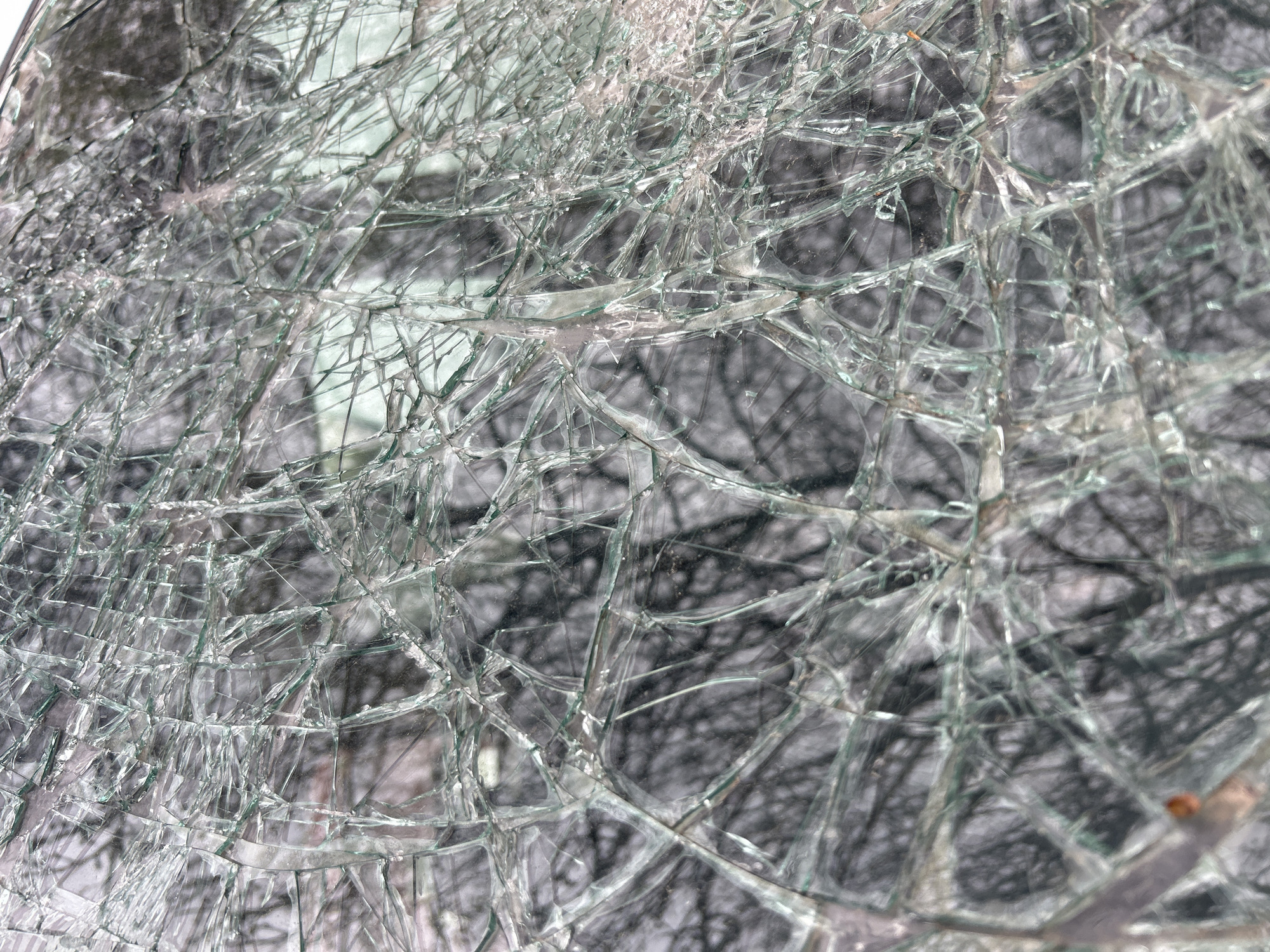 The image provides a close-up, high-detail view of severely shattered or cracked glass, likely from a window or windshield. The glass displays an extensive, intricate network of irregular cracks and fractures that span the entire surface, forming a dense, web-like pattern. Individual pieces of glass, though fragmented, mostly remain in place, creating sharp, angular shards and crystalline structures that reflect light and show subtle greenish-blue hues along their edges.
Through the fragmented glass, a heavily blurred background is discernible. This background consists primarily of dark, intricate shapes resembling bare tree branches, suggesting an outdoor setting, potentially during winter or a similar dormant season. Lighter, muted tones are scattered throughout the background, which could indicate snow-covered ground, a bright sky, or distant structures, though they are too indistinct to confirm. The shallow depth of field keeps the shattered glass in sharp focus, while the background appears abstract and out of focus.
The image captures the static aftermath of an event that caused significant damage to the glass. No activity is depicted, and no people or specific objects are clearly identifiable apart from the shattered glass and the indistinct natural background elements. There is no visible text within the image. The scene is located in Plovdiv, Bulgaria, and conveys a sense of fragility and intricate destruction.