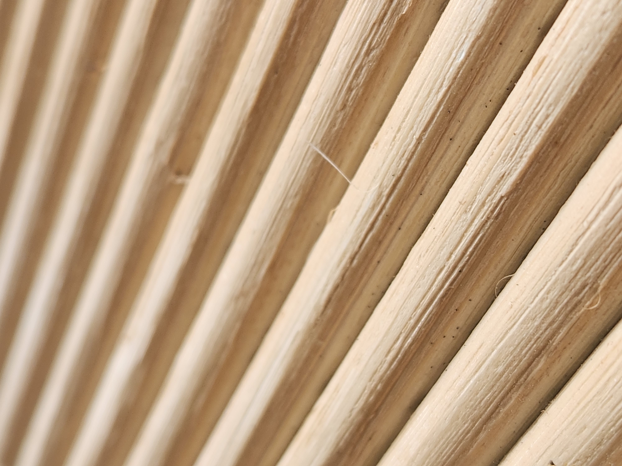The image is a close-up, abstract shot of parallel wooden dowels. The dowels are light brown and have a visible wood grain texture. They are arranged diagonally from the bottom left to the top right of the frame. There are no people, animals, or discernible objects other than the dowels themselves. The background is out of focus, but appears to be a continuation of the same surface. The scene is clean and appears to be indoors, with no indication of a specific location within Maitland, United States of America, or any other city.