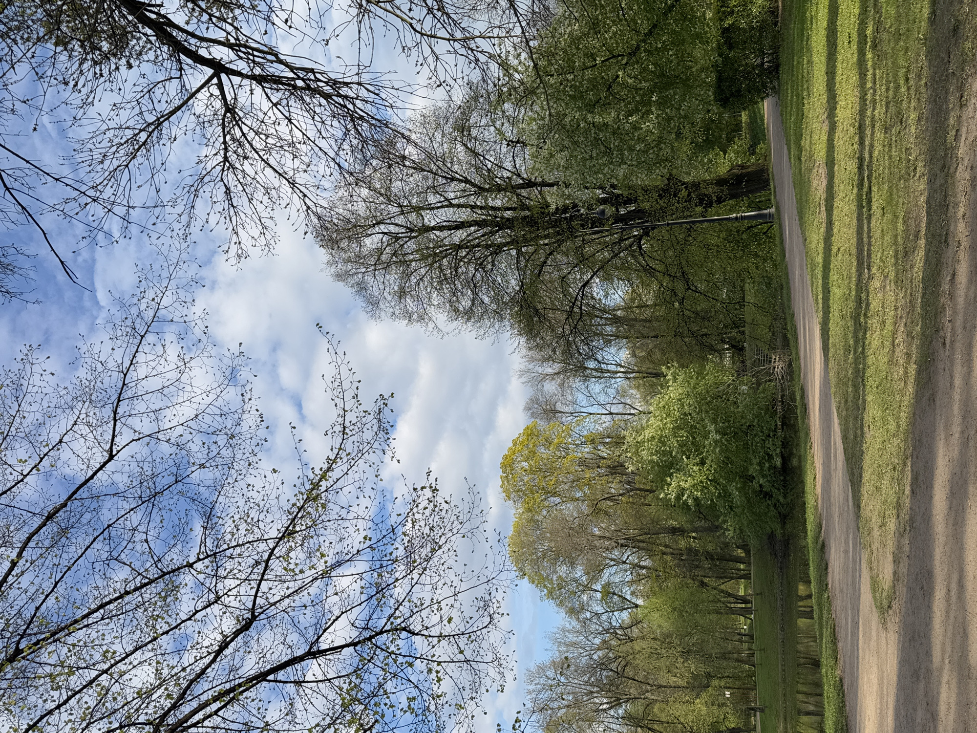 The image shows a path through a park in Saint Petersburg, Russia. The path is dirt and gravel, with green grass on either side. Trees line both sides of the path, some with new spring leaves. The sky is visible between the trees, with white clouds and blue sky. No people are visible. A small pond or waterway is along the left side of the path.