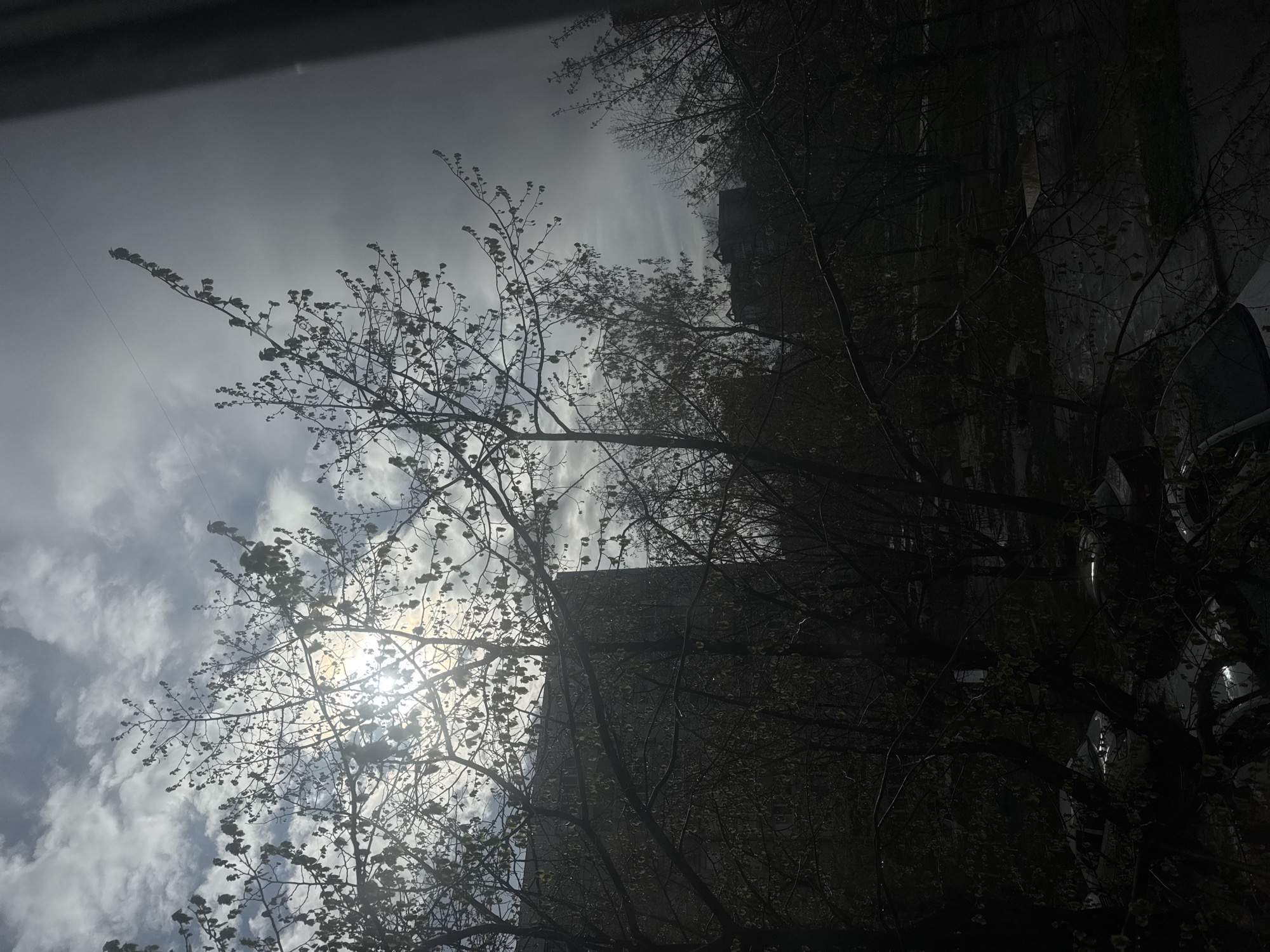 The image captures an upward-looking view of an outdoor scene, dominated by a cloudy sky and silhouetted trees. The sun, a bright and radiant orb, is partially visible in the upper left portion of the frame, piercing through the clouds and tree branches, creating a strong backlight and a noticeable glare.
Numerous tree branches, appearing mostly bare with small buds or early leaves, crisscross the foreground and mid-ground, casting intricate dark silhouettes against the varied tones of the sky. The sky itself features a mix of bright white and grey clouds, with darker, more uniform grey areas towards the right and top.
In the background, on the right side of the image, a large, dark building stands tall, its structure largely obscured by shadow and the dense tree canopy in the mid-ground. Its architectural details are indistinguishable. A thin, dark line, possibly a power line or cable, runs diagonally across the upper left section of the sky.
The scene conveys a high-contrast atmosphere, where the brightness of the sun starkly illuminates the clouds while rendering the trees and building into dark, almost monochromatic forms. The time of day appears to be daytime, possibly late morning or afternoon, on a cloudy or overcast day with occasional sun breaks. There are no discernible human figures or visible text in the image.