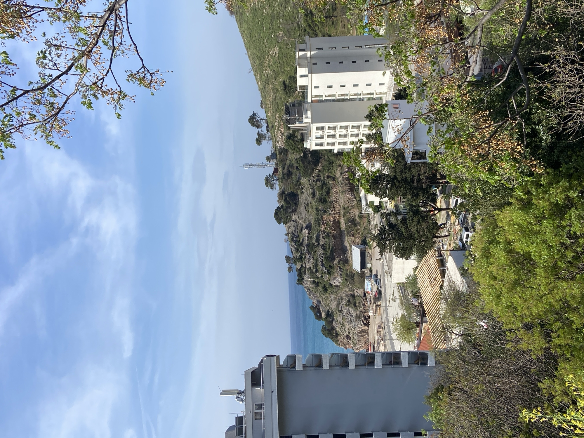 The image depicts a coastal scene in Sutomore, Montenegro, oriented vertically. A blue sky with wispy clouds occupies the left side of the frame, transitioning to a view of the Adriatic Sea. Along the coastline, a rugged cliff is visible, topped with dense green vegetation. Several multi-story buildings are situated on and around the cliff. A white hotel with multiple balconies is prominent. Construction and ongoing roadwork are apparent in a lower section, with construction materials and vehicles present. In the foreground, tree branches with green and brown leaves frame the top-left and right edges of the image, partially obscuring the view. A building with a gray facade and multiple windows is in the lower portion.