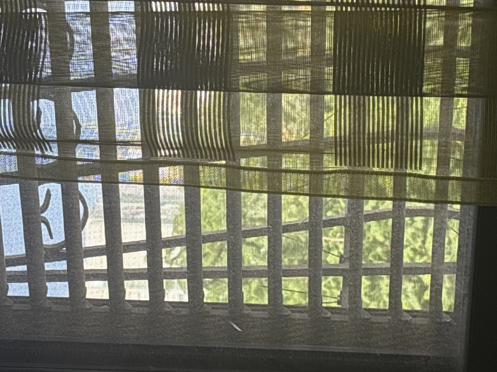 The image shows a view through a window with a screen and blinds. The blinds are partially open, allowing sunlight to filter through, creating patterns of light and shadow on the screen and the interior of the room. Outside the window, green foliage from trees is visible, suggesting a natural environment. The overall impression is one of a domestic setting looking out onto a sunny day. The specific location in the city of Lod, Israel, is not discernible from the visual information provided in the image.