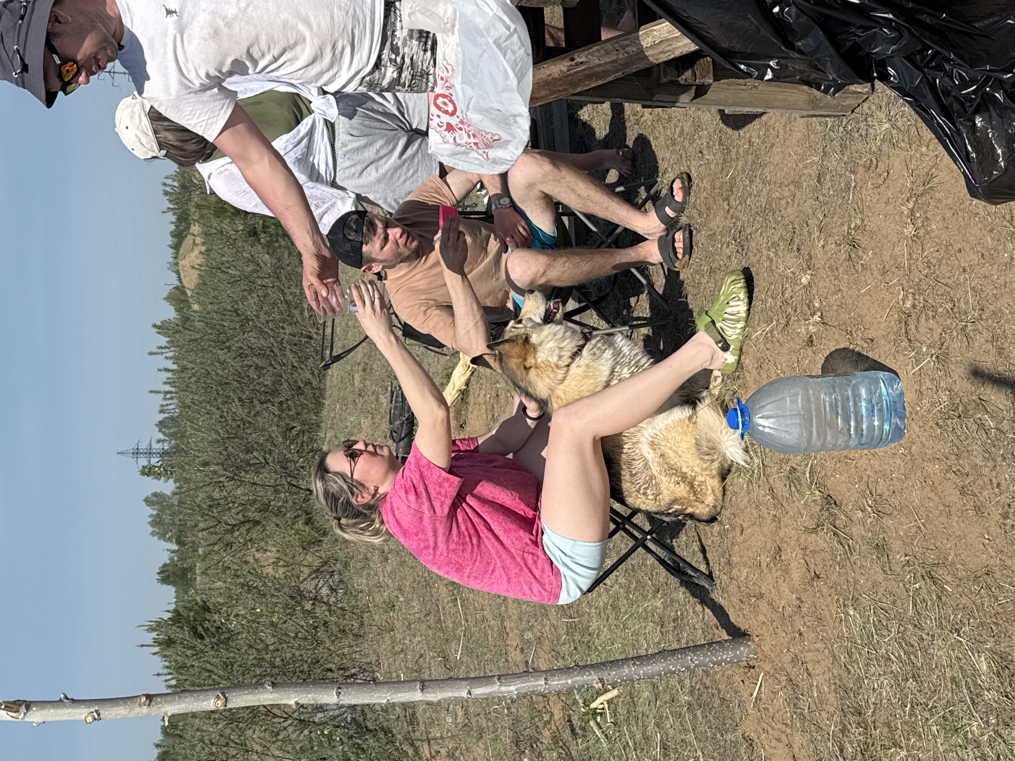 On a sunny day in an outdoor setting in Noviy, Russia, a group of people are resting on chairs near some brush. A woman in a pink shirt and blue shorts sits on a chair, with a large dog between her legs. A man in a brown shirt is sitting next to her. Another man wearing a white shirt holds a glass. There is a large plastic water bottle on the ground. A stick lies in the foreground. The background shows a grassy area with trees and an electrical power tower.