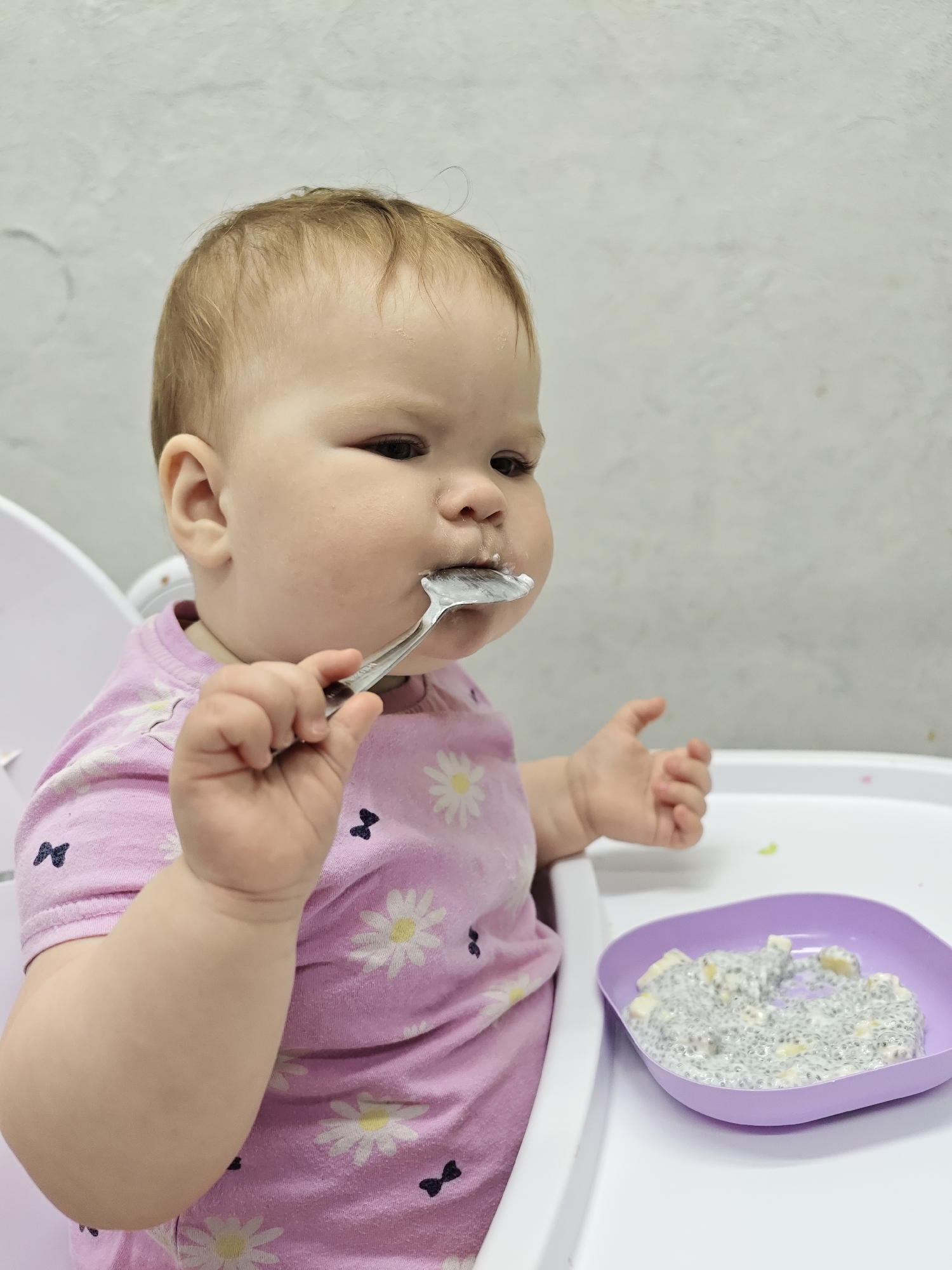 A baby sits in a high chair eating from a purple plate with a spoon. The baby wears a pink shirt with white daisies and black bows. The plate contains a mixture of white and clear substance, possibly with small pieces of fruit. The high chair is white and the background is a light gray wall. The location is unknown, and no information indicates it is in Chaikovsky, Russia.