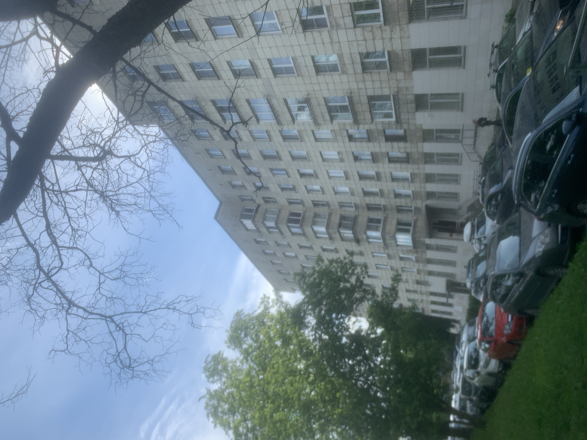 This is a low-angle, vertical, eye-level shot of a multi-story residential building in Saint Petersburg, Russia. The building, constructed from light-colored rectangular panels, features numerous windows, many with white frames. In the foreground, a line of parked cars is visible on a grassy embankment, with a red car prominently displayed. To the left of the building, a large, leafy green tree is partially obscuring the structure. Bare branches of another tree extend across the upper portion of the image, silhouetted against a blue sky with scattered clouds. The overall impression is an urban residential scene on an overcast day.