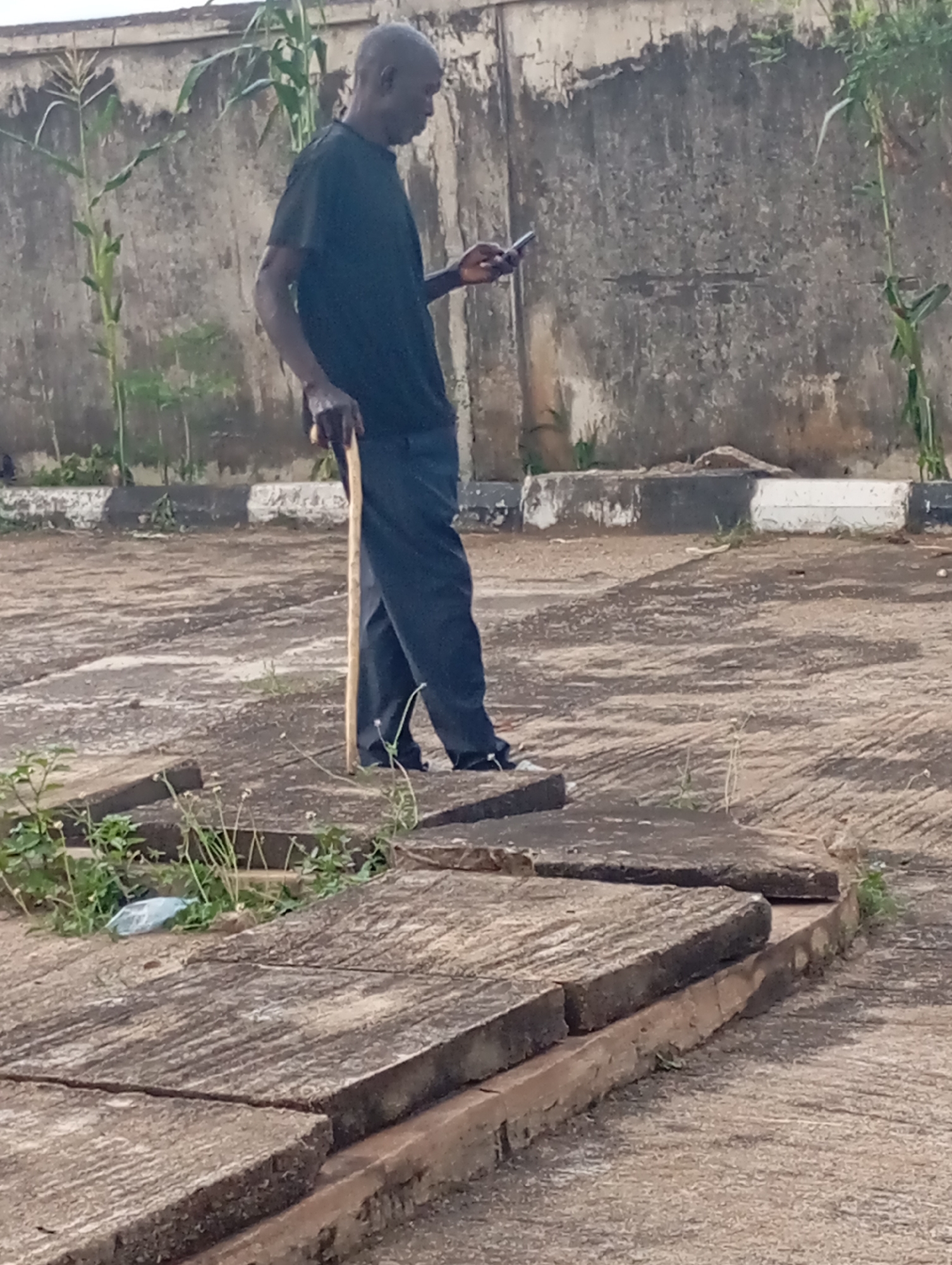 An elderly Black man stands outdoors, holding a cane in his right hand and a smartphone in his left. He is wearing a black t-shirt and dark trousers. The background shows a rough, concrete wall with some vegetation, including corn stalks, growing near it. The ground is paved with concrete slabs and some smaller stones. A curb with black and white markings runs along the edge of the paved area. The scene appears to be in an outdoor urban setting, possibly in Shendam, Nigeria, given the context. The lighting suggests it is daytime.