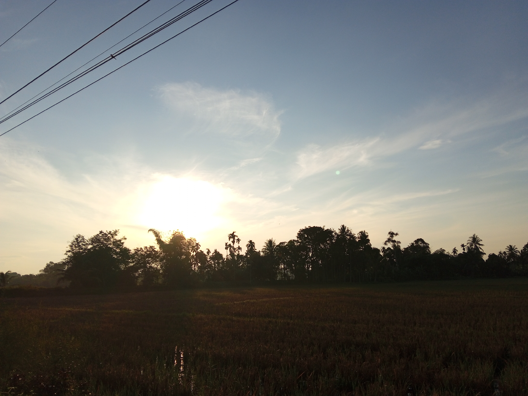 The image depicts a rural landscape at Kilometer Delapan, Indonesia, likely during sunrise or sunset. The foreground consists of a dark field, possibly a rice paddy, with some patches of water reflecting the sky. A dense line of silhouetted trees forms the middle ground, with various species including palm trees visible. The sun is low in the sky, casting a bright glow that silvers the clouds and creates lens flare in the upper right quadrant. The sky is a pale blue with wispy clouds. In the upper left corner of the image, a set of power lines stretches across the frame, with a single bird perched on one of the wires. The overall impression is one of natural tranquility.