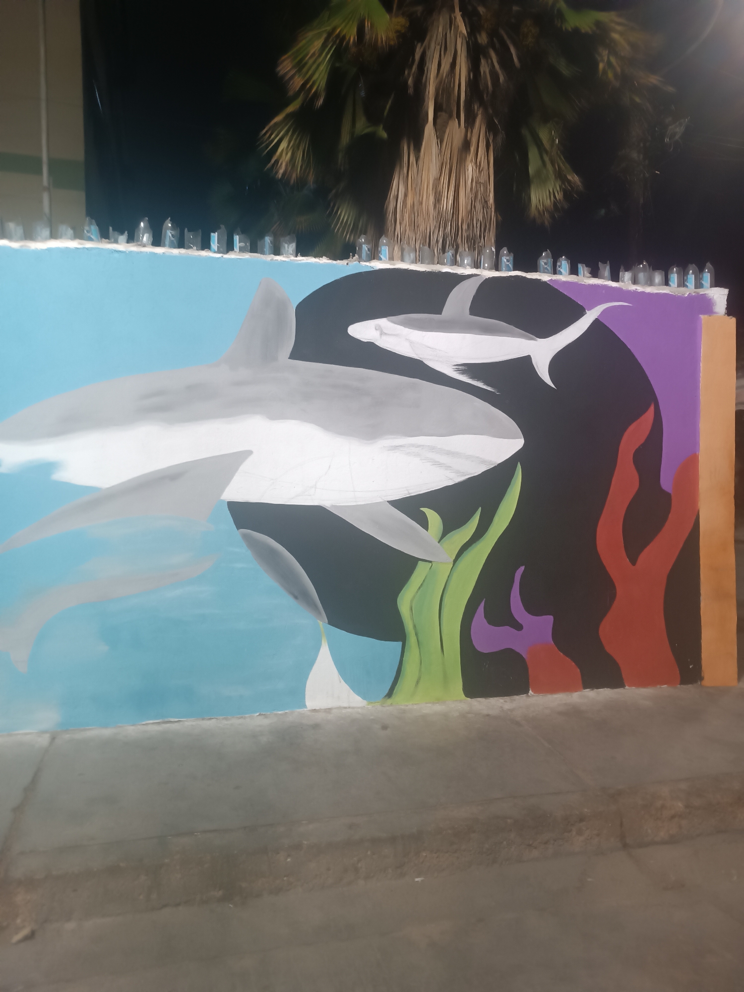 This image captures a nighttime street scene in Porlamar, Venezuela, focused on a colorful mural painted on a concrete wall. The mural depicts an underwater environment with multiple sharks and marine flora. A large, grey and white shark is prominently featured in the lower-left, swimming to the right against a light blue background representing shallow water. Two smaller, less distinct sharks are visible in the light blue section, also swimming rightward. The mural transitions to a dark, circular background on the right, simulating deeper water, where another medium-sized grey and white shark swims right. Stylized marine plants in shades of green, purple, and reddish-brown are painted against this dark background. The top edge of the mural wall is uneven and appears to have white material applied.
Above the wall, a barrier is constructed from numerous clear plastic bottles, many appearing cut, inverted, and cemented along the top. Some bottles exhibit blue labels or contents. Behind this barrier, large palm trees are visible against a dark, night sky. The foreground consists of a grey concrete sidewalk, showing signs of wear and seams, illuminated by an unseen artificial light source. No people, discernible actions, or interactions are present in the scene.