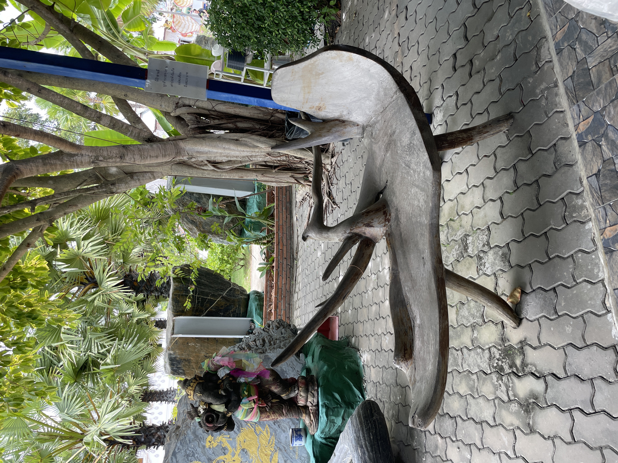 In Tambon Na Chom Thian, Thailand, a scene unfolds under the dappled shade of lush palm trees and the sprawling branches of a large banyan tree. The ground is paved with interlocking grey pavers, some showing signs of wear and discoloration. Dominating the foreground is a uniquely crafted wooden bench, seemingly carved from a single, massive piece of driftwood, its organic curves and rough texture evoking a sense of natural artistry. The bench is supported by sturdy wooden legs, one of which is propped up by a small, fallen leaf.
To the left of the bench, near a large, grey, stone-like sculpture, stands a dark, intricately carved statue of Ganesha, adorned with vibrantly colored cloth sashes. Behind the Ganesha statue, a large, rough-hewn rock formation adds to the naturalistic setting. A blue and grey pole stands to the right of the banyan tree, with a sign bearing Thai script attached to it. In the background, beyond the greenery, glimpses of buildings and a white ladder are visible. The environment suggests an outdoor area, possibly a temple courtyard or a garden, with a blend of natural elements and man-made structures.